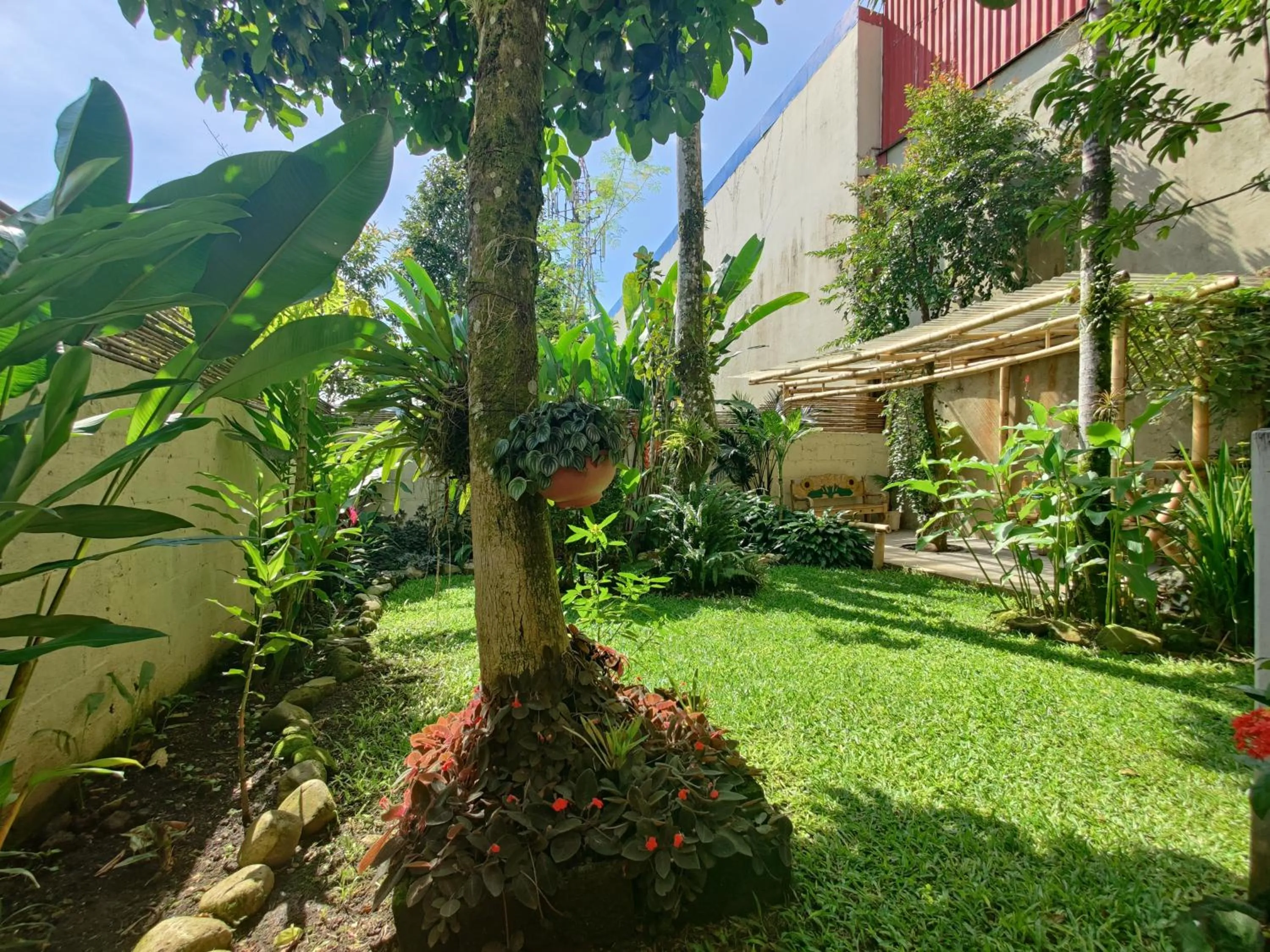 Garden in Boutique Hotel Casa de Lis, Turrialba