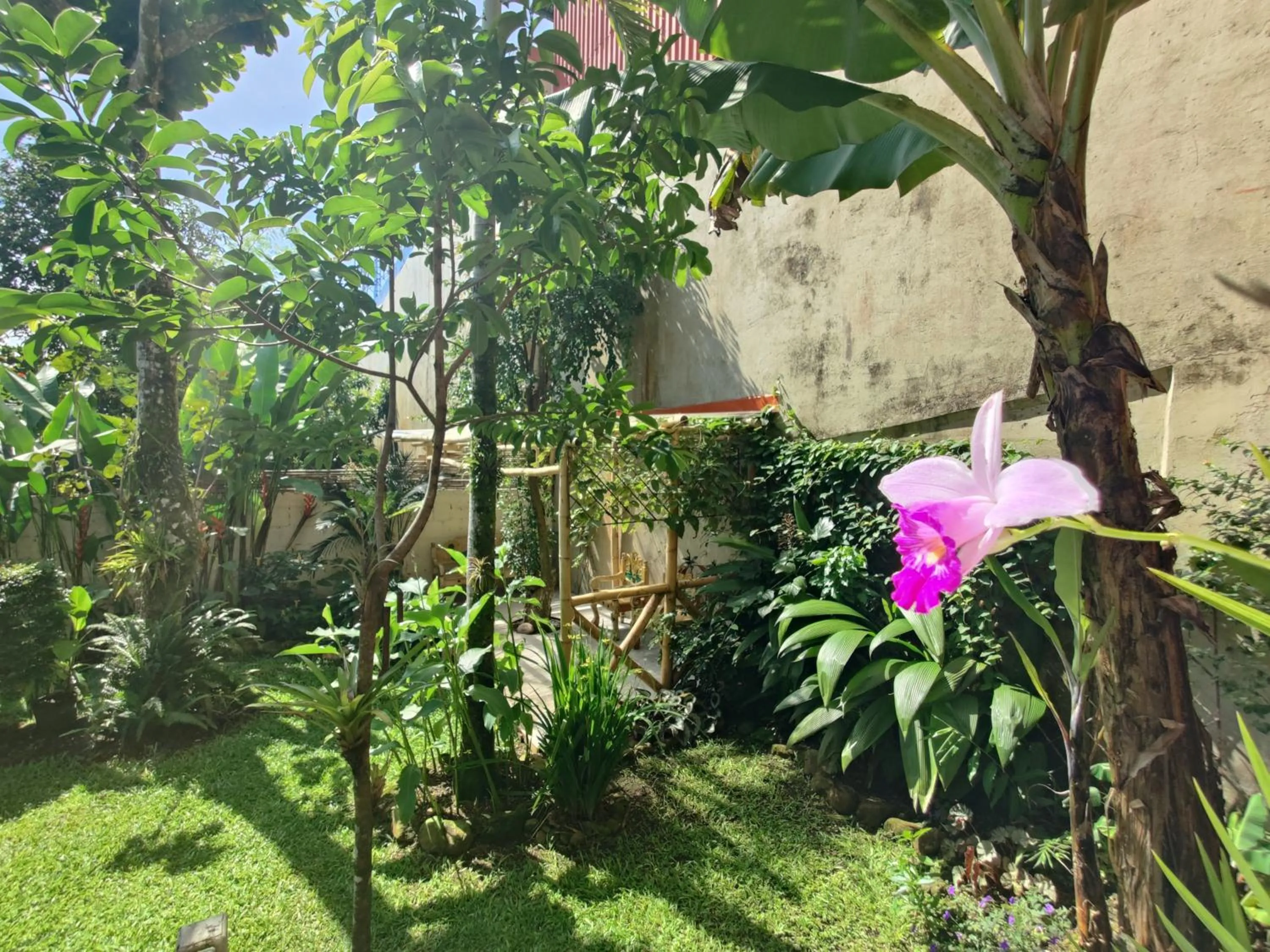 Garden in Boutique Hotel Casa de Lis, Turrialba