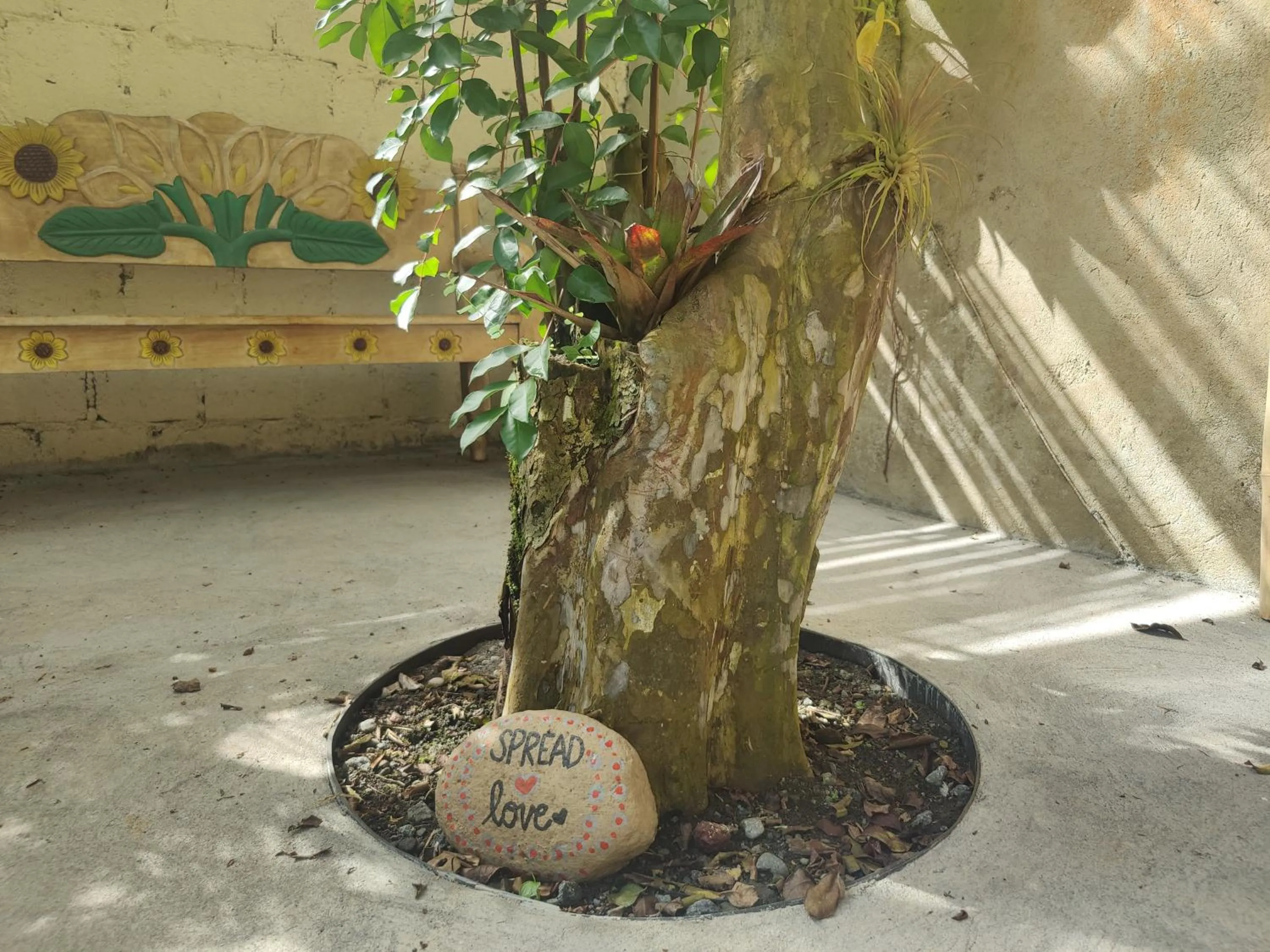 Garden view in Boutique Hotel Casa de Lis, Turrialba