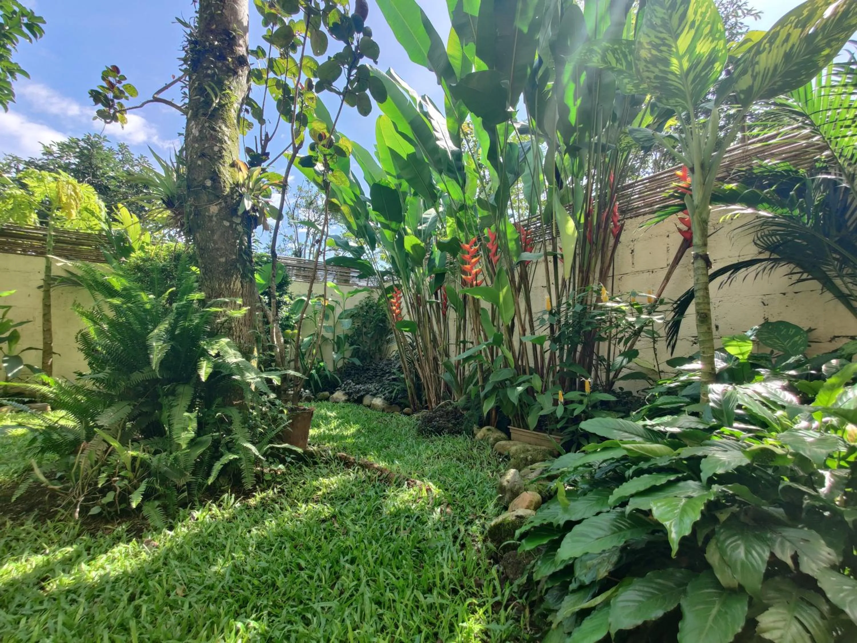 Garden view in Boutique Hotel Casa de Lis, Turrialba