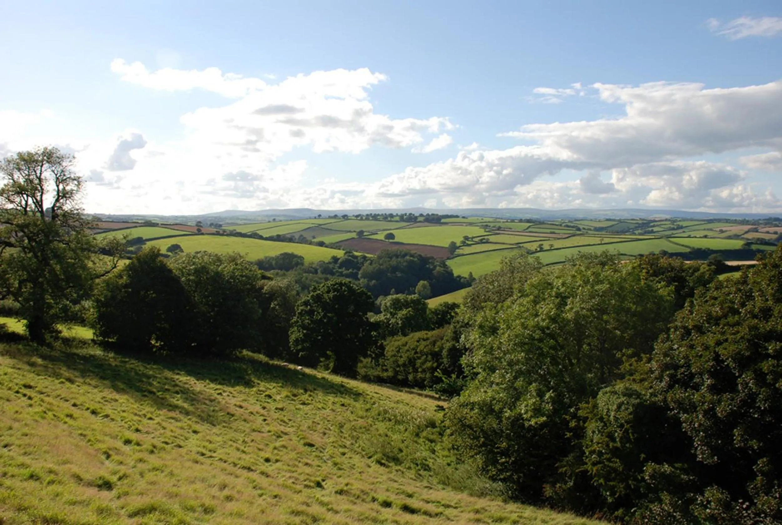 Natural landscape in Kerswell Farmhouse