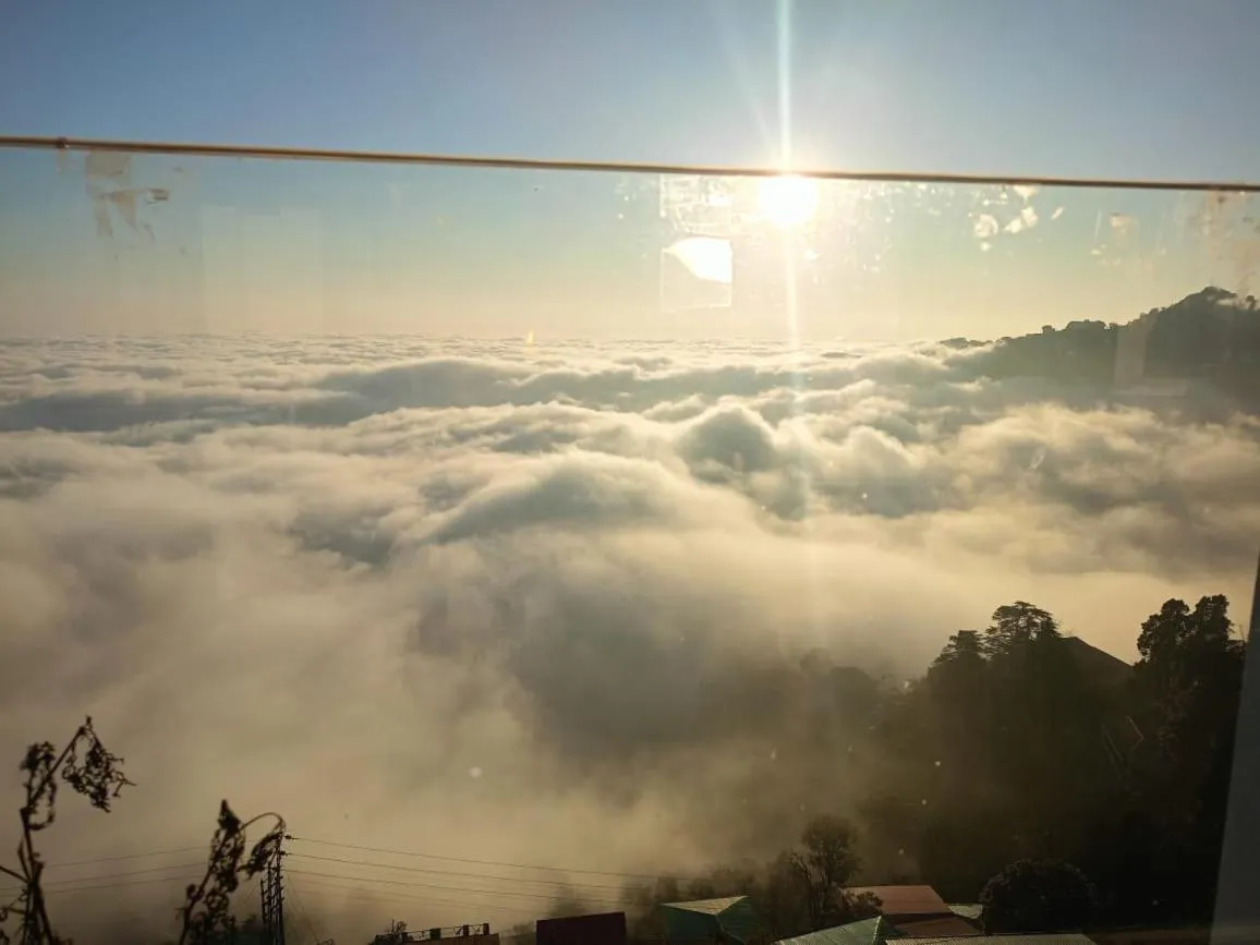 Hotel The Pine Villa