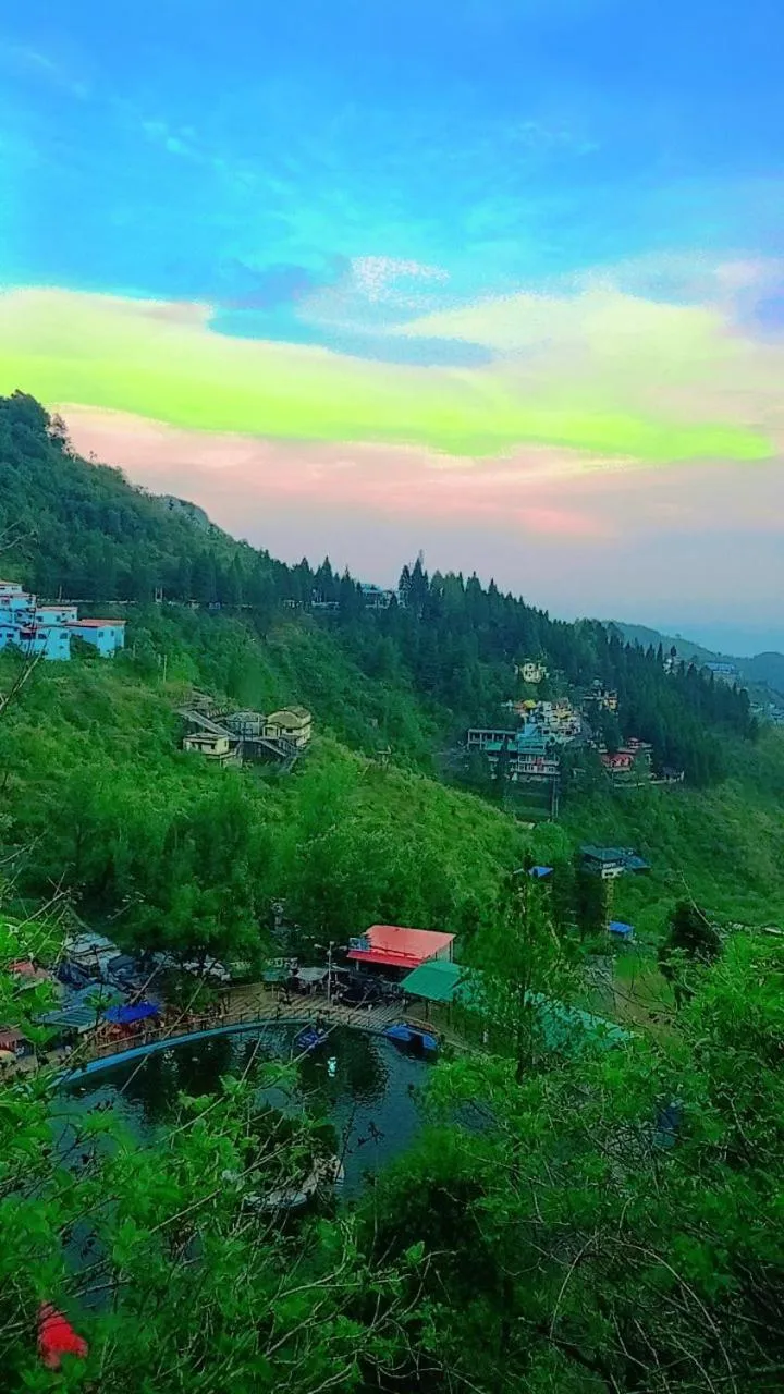 Hotel The Pine Villa