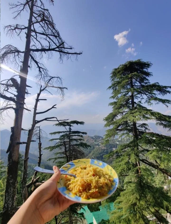 Breakfast in Hotel The Pine Villa