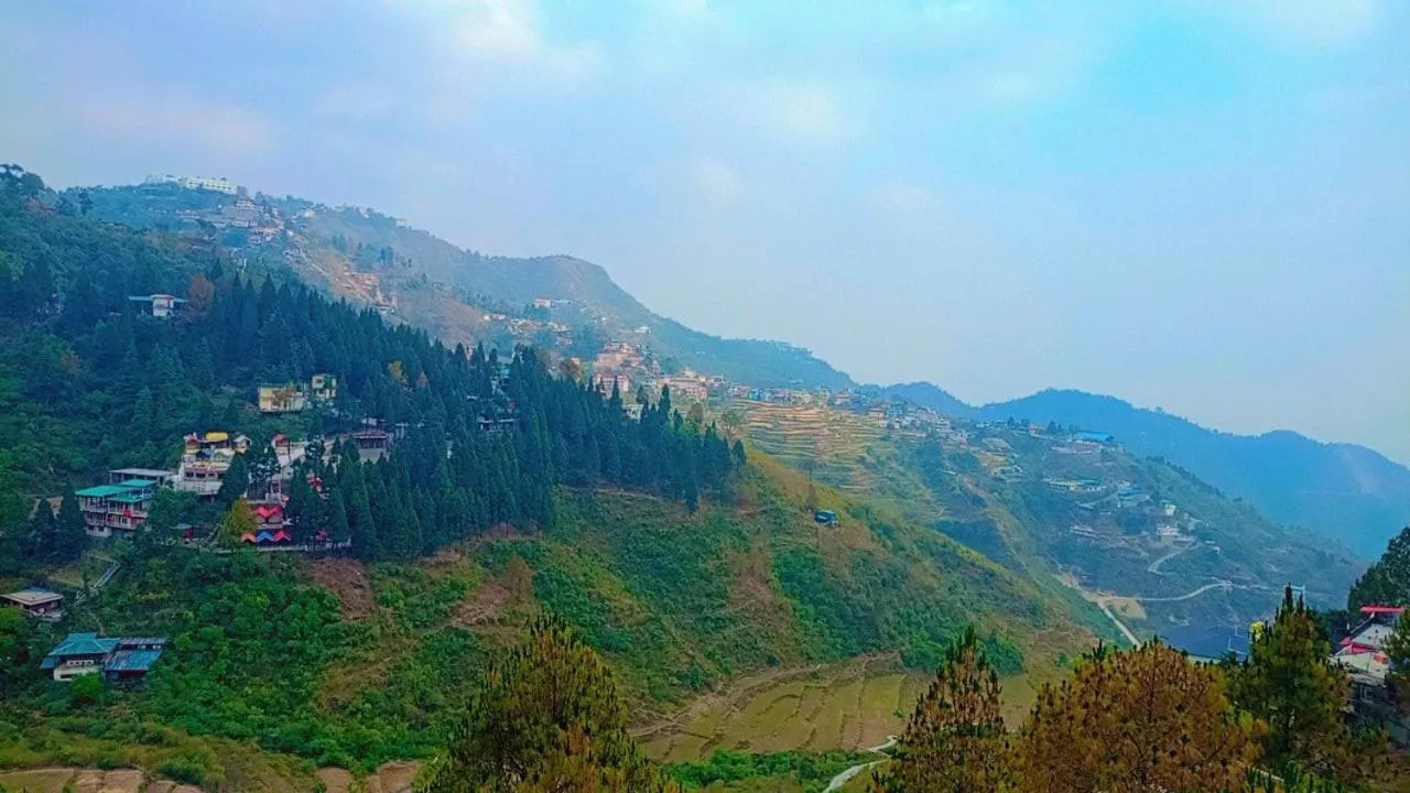 Hotel The Pine Villa