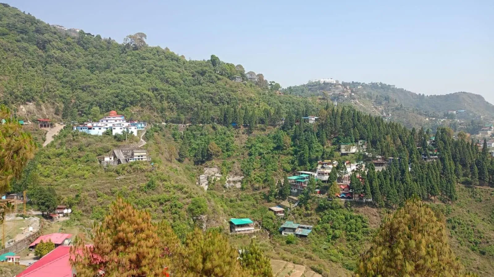 Day in Hotel The Pine Villa