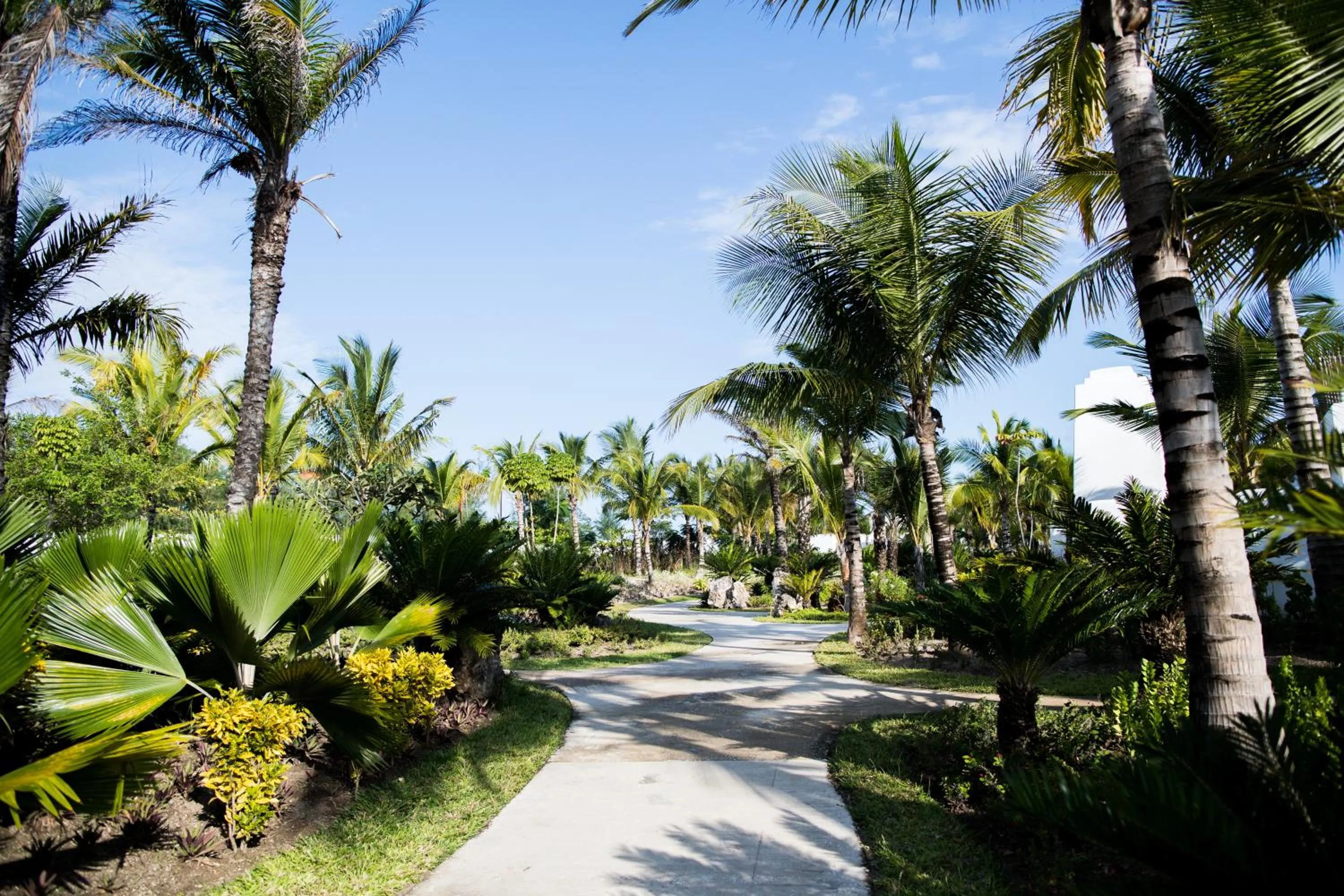 Garden in The Aiyana Resort & Spa