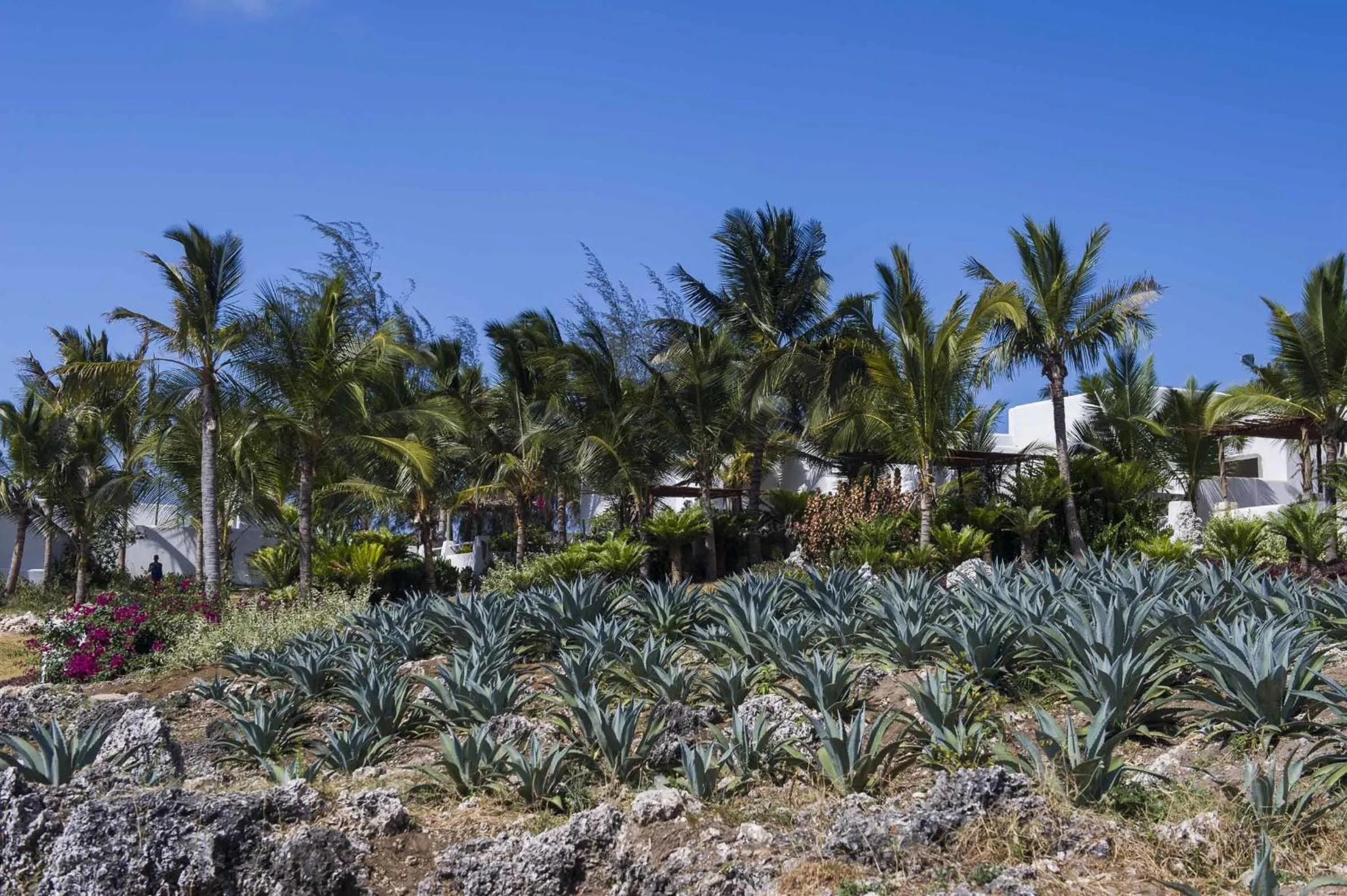 Area and facilities in The Aiyana Resort & Spa