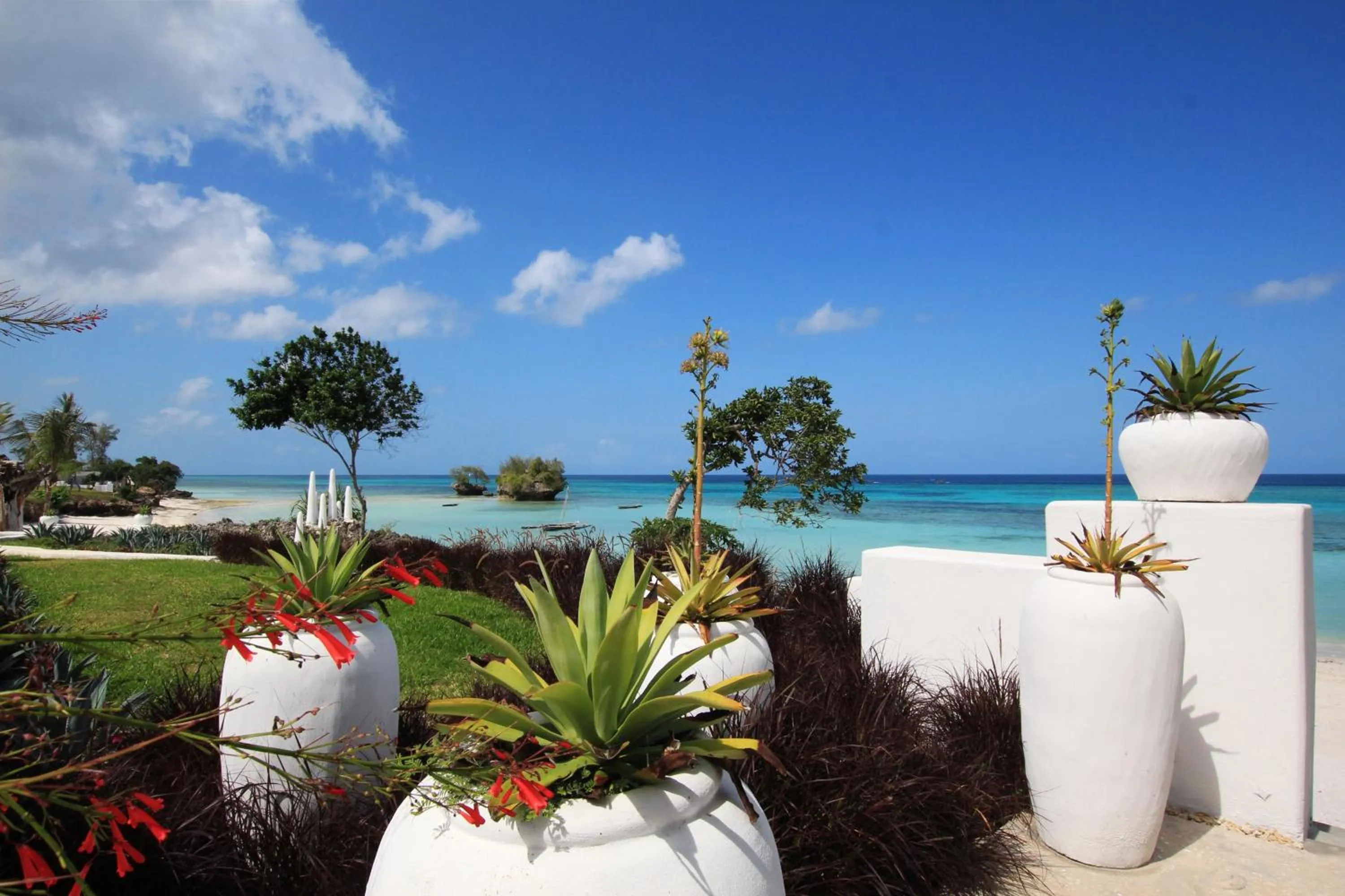 Garden in The Aiyana Resort & Spa