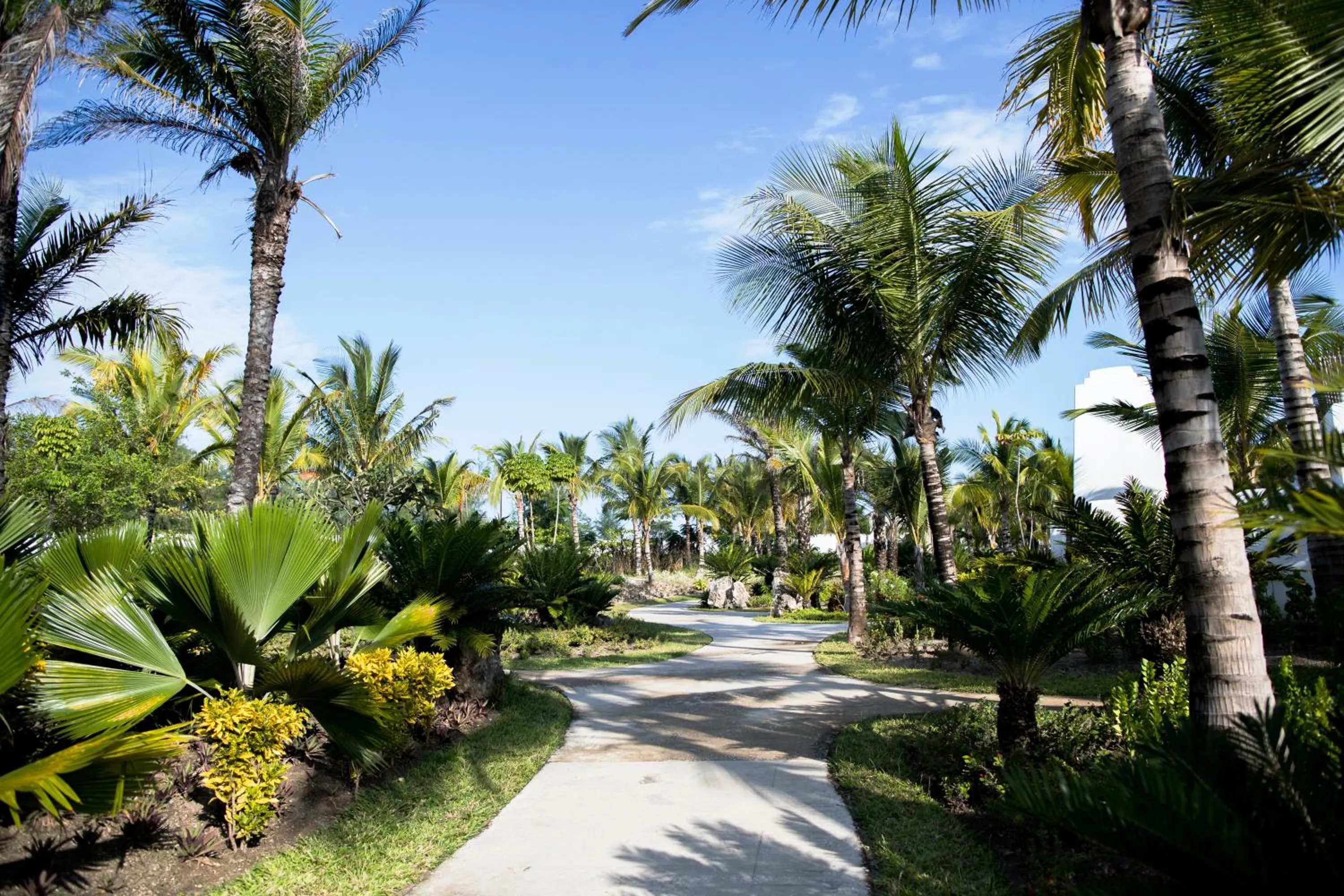 Garden in The Aiyana Resort & Spa