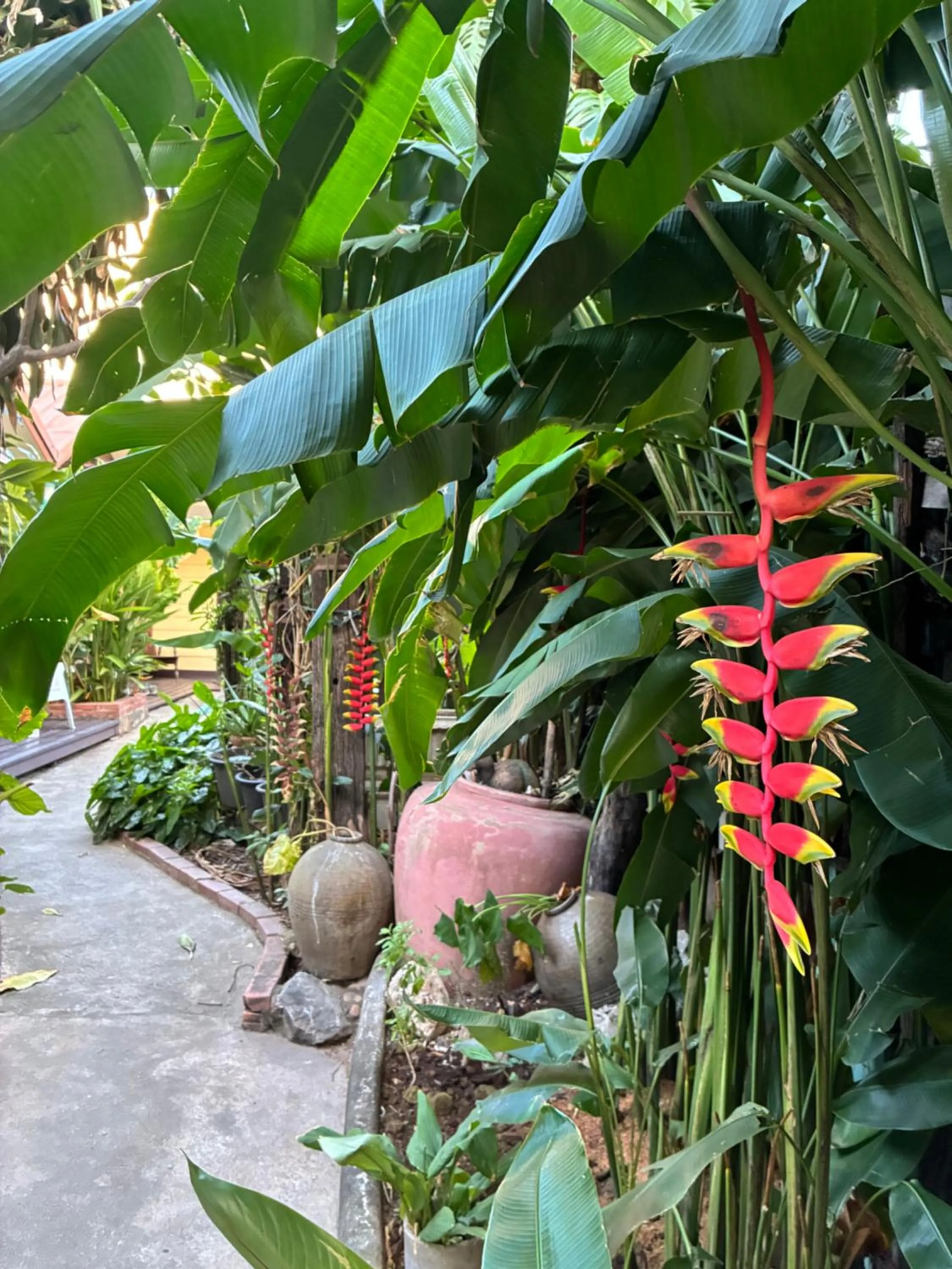Day in Noom Guesthouse