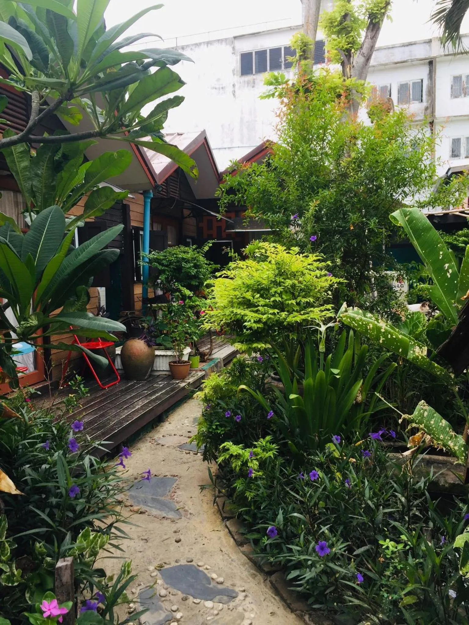 Patio in Noom Guesthouse