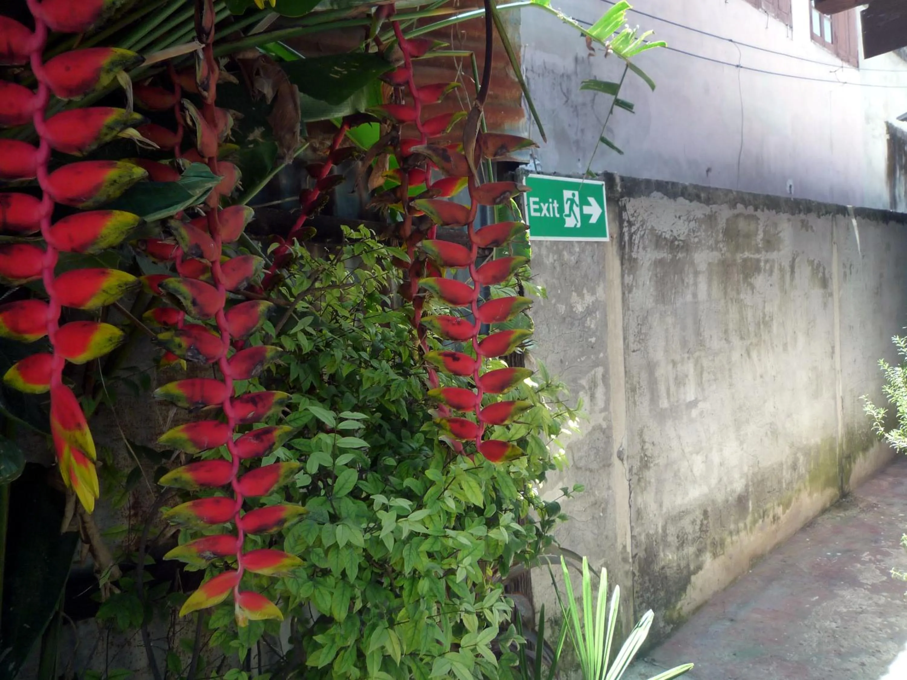 Other in Noom Guesthouse