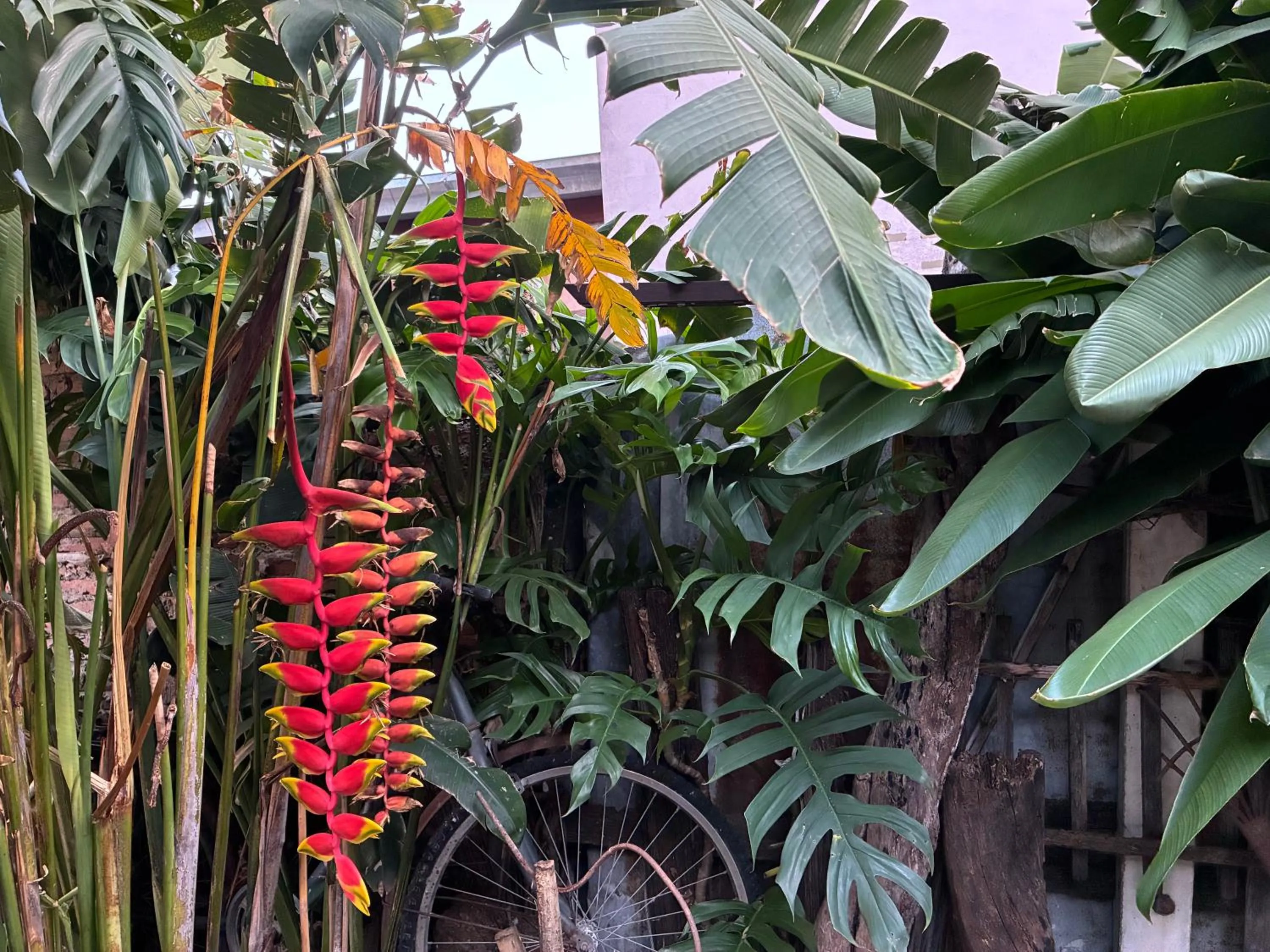 Day in Noom Guesthouse