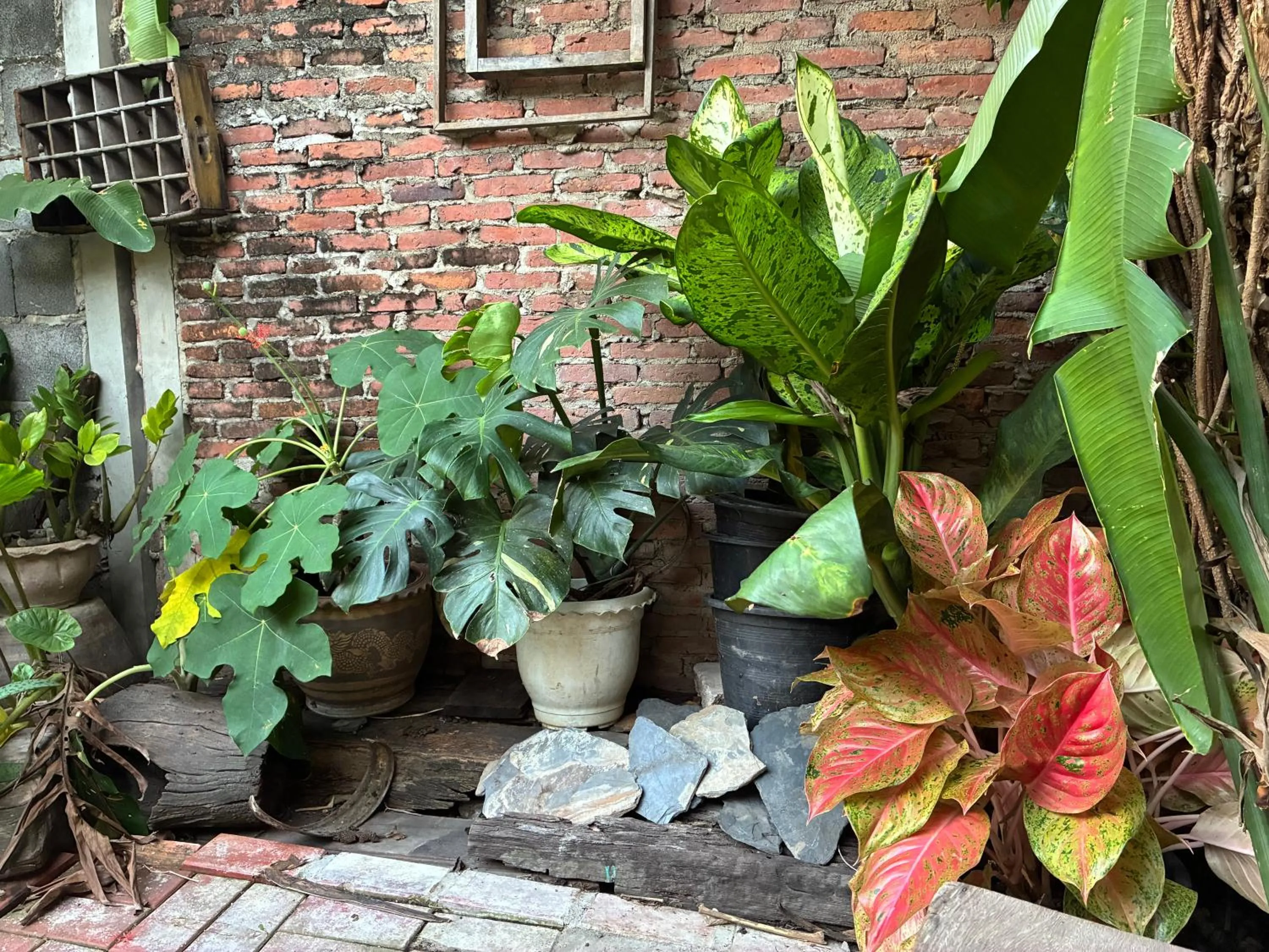 Day in Noom Guesthouse