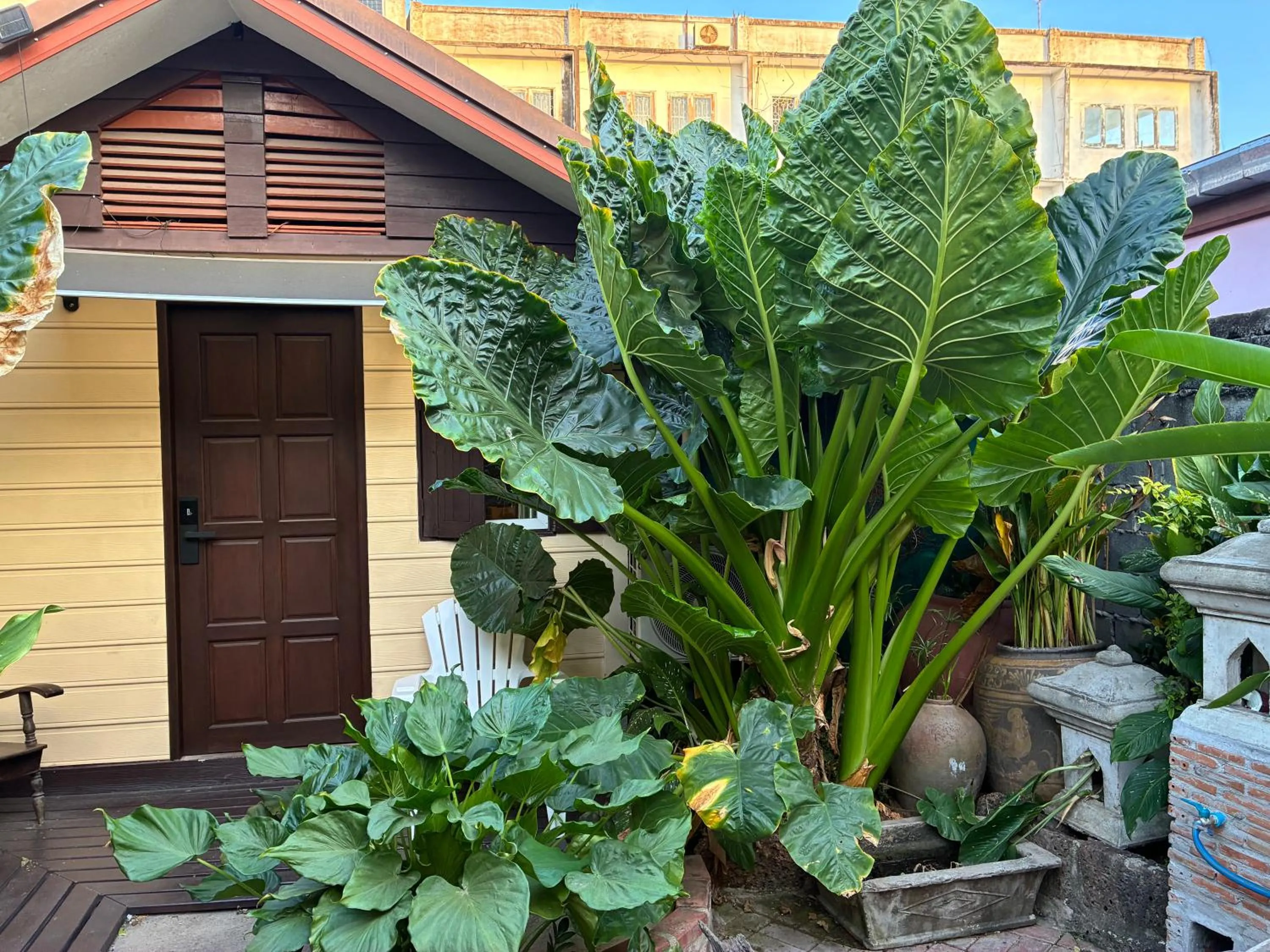 Property building in Noom Guesthouse