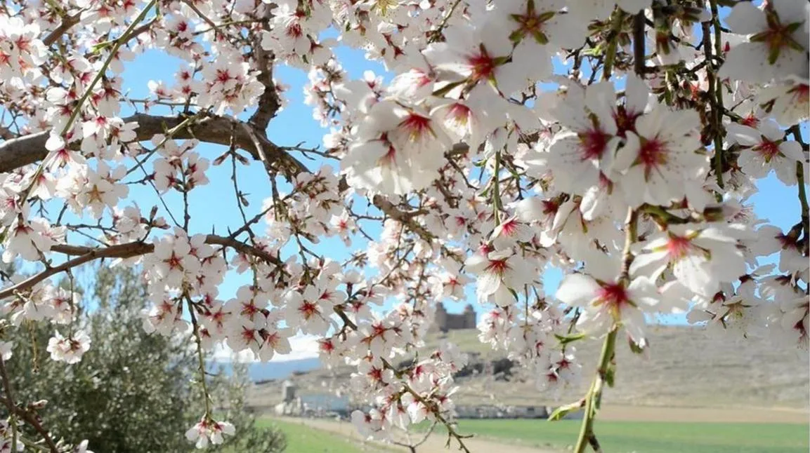 Hospederia del Zenete