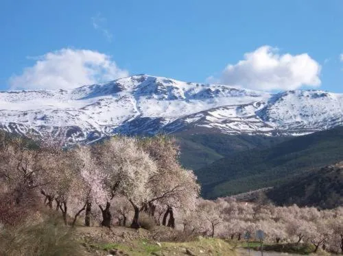 Area and facilities in Hospederia del Zenete