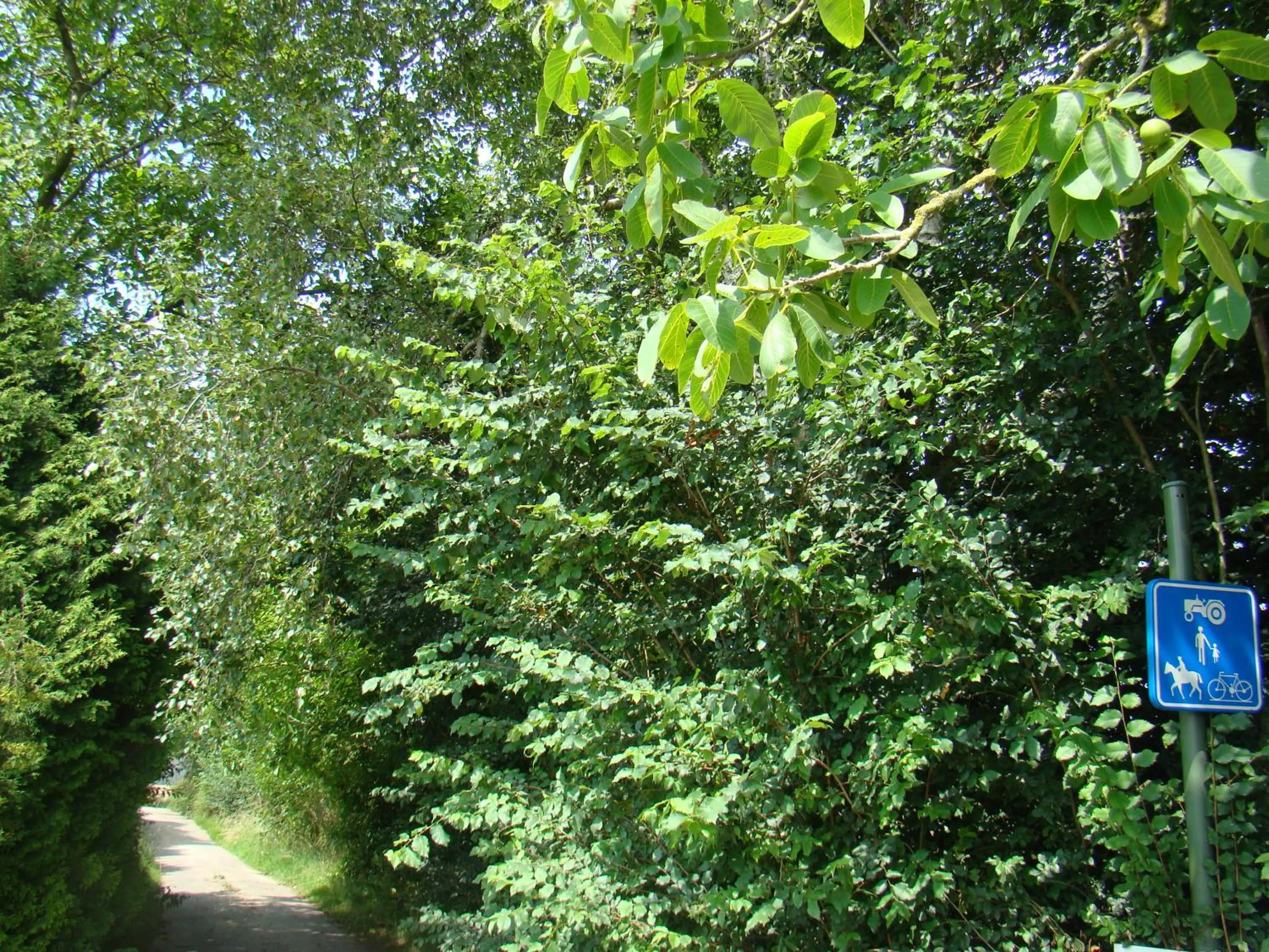 Eeuwenhout vakantiedomein