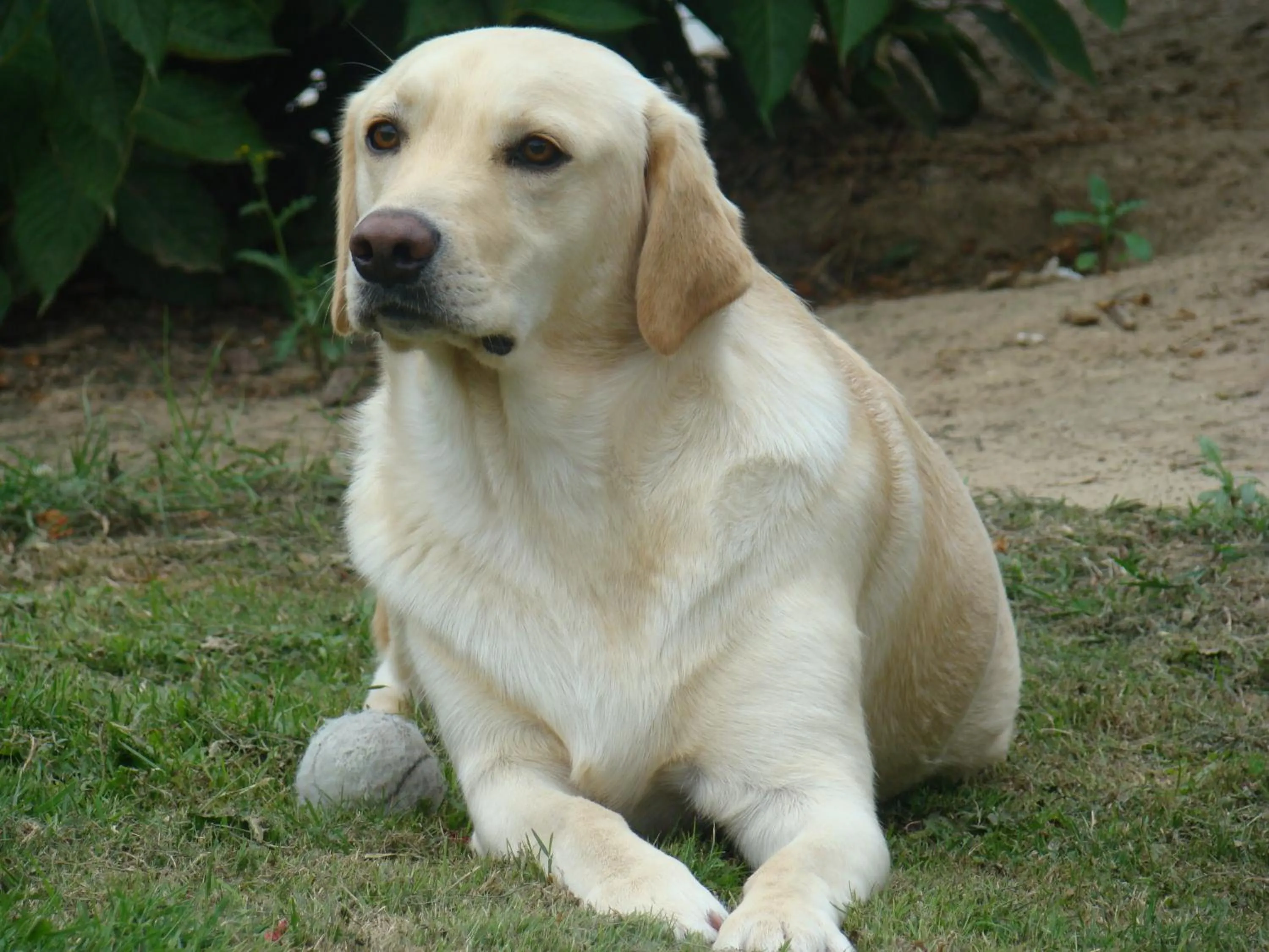 Eeuwenhout vakantiedomein