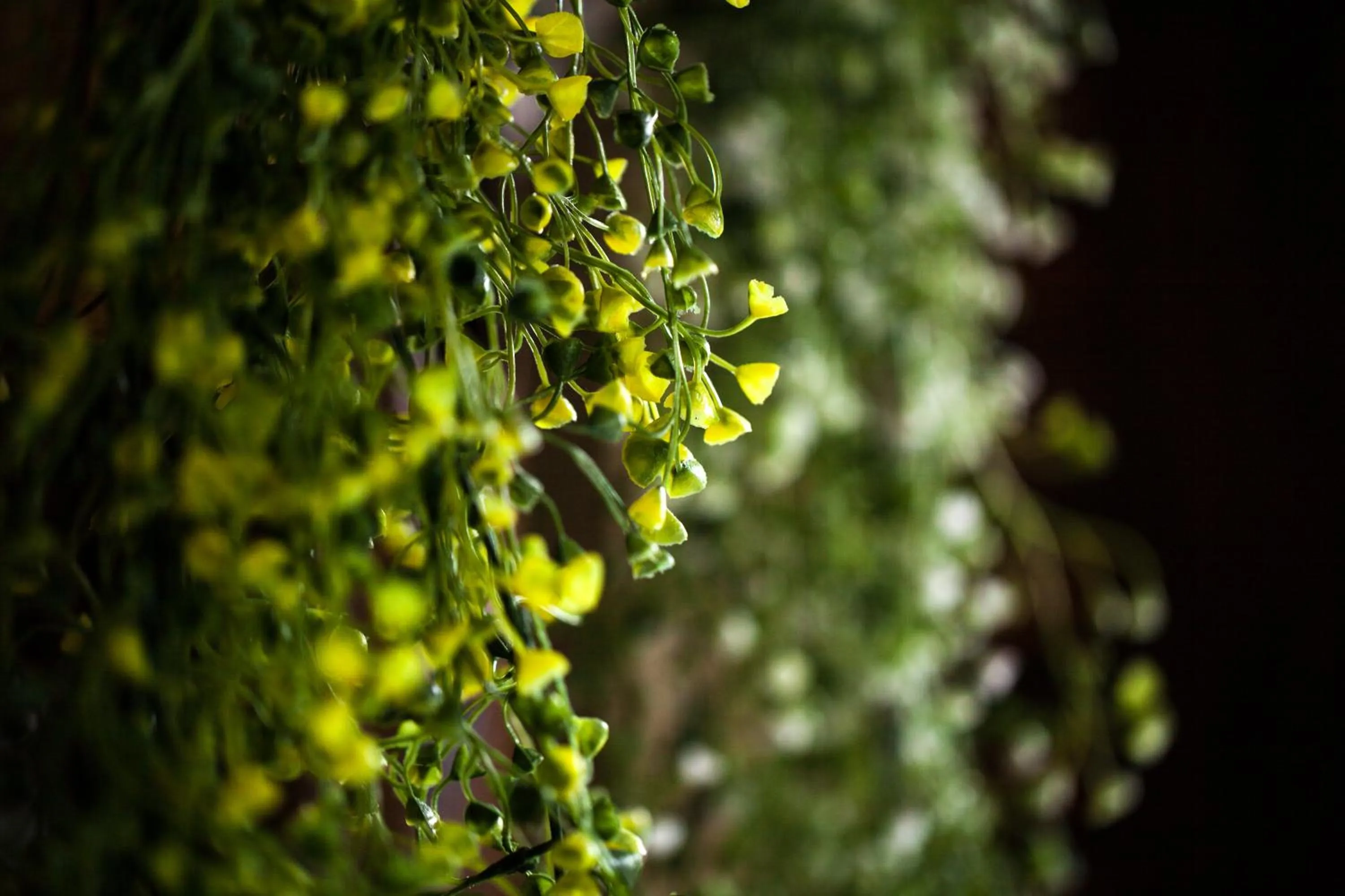 Decorative detail in Hotel California Zhangjiajie