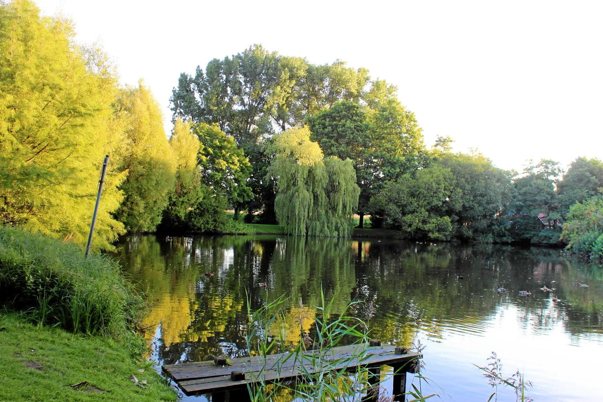 Nearby landmark in Hotel Rennekamp