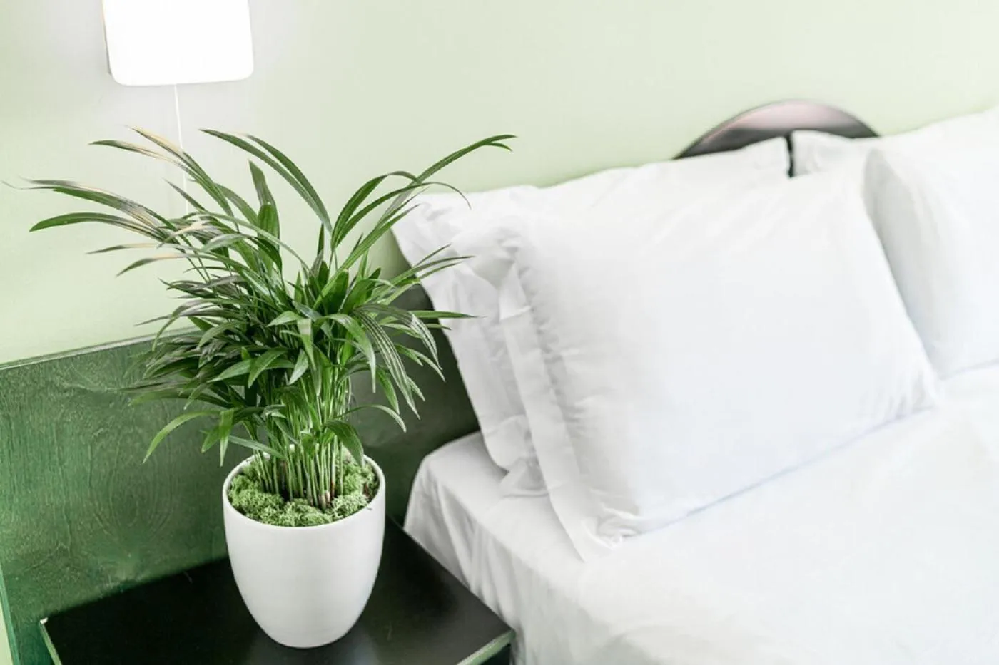 Bedroom, Bed in Hotel Medusa Splendid