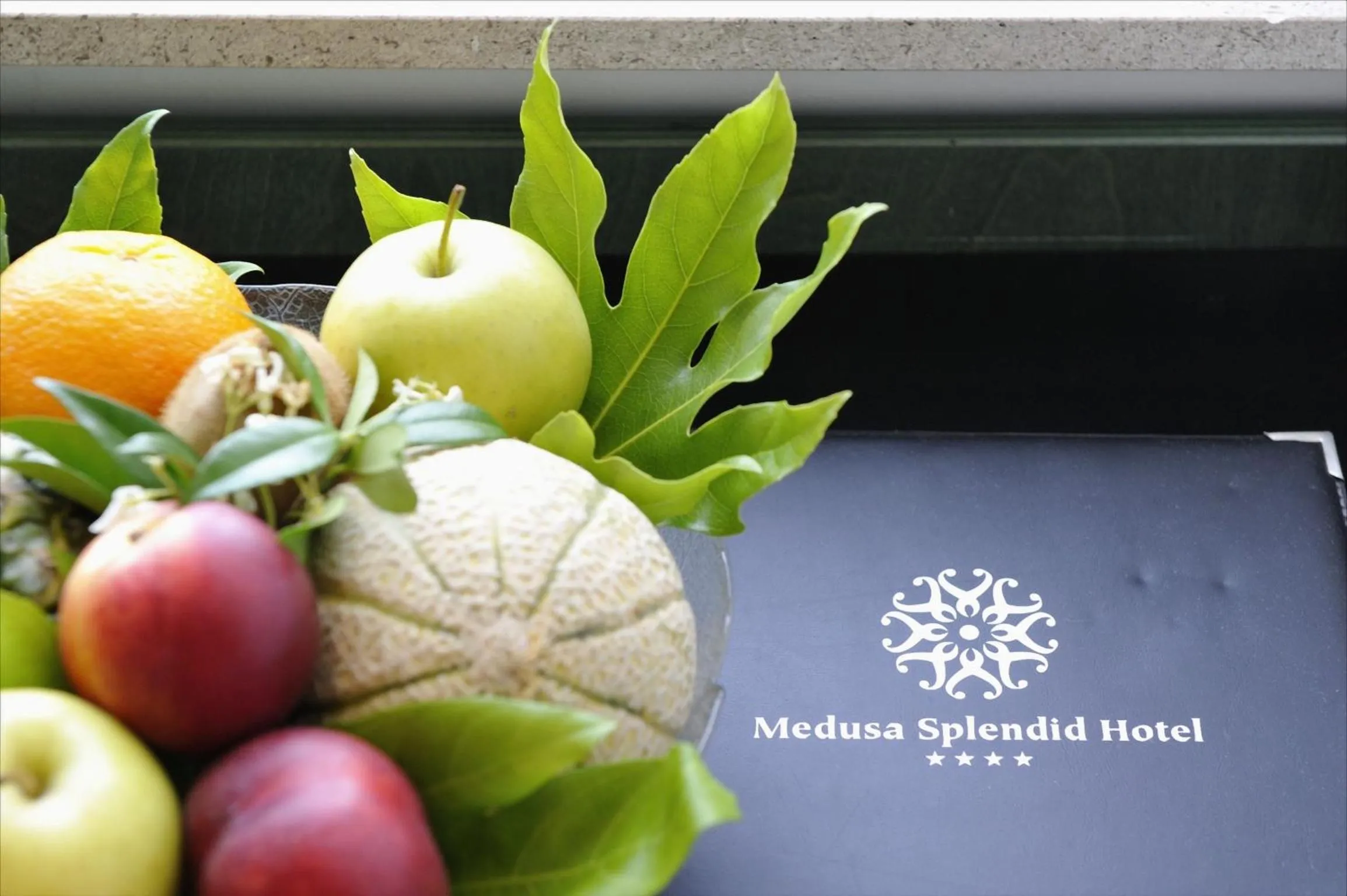 Property logo or sign in Hotel Medusa Splendid