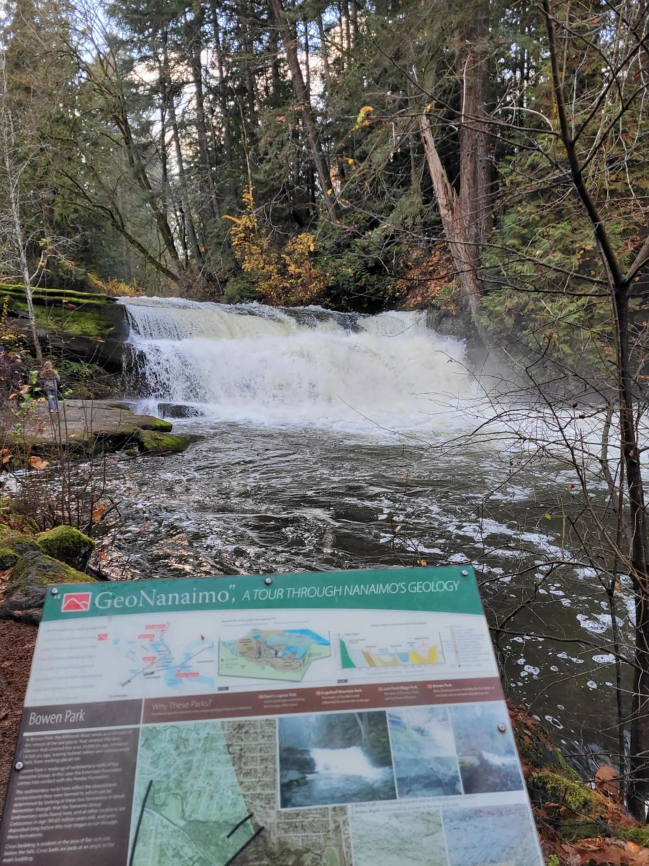Natural landscape in Campbell Cottage B&B