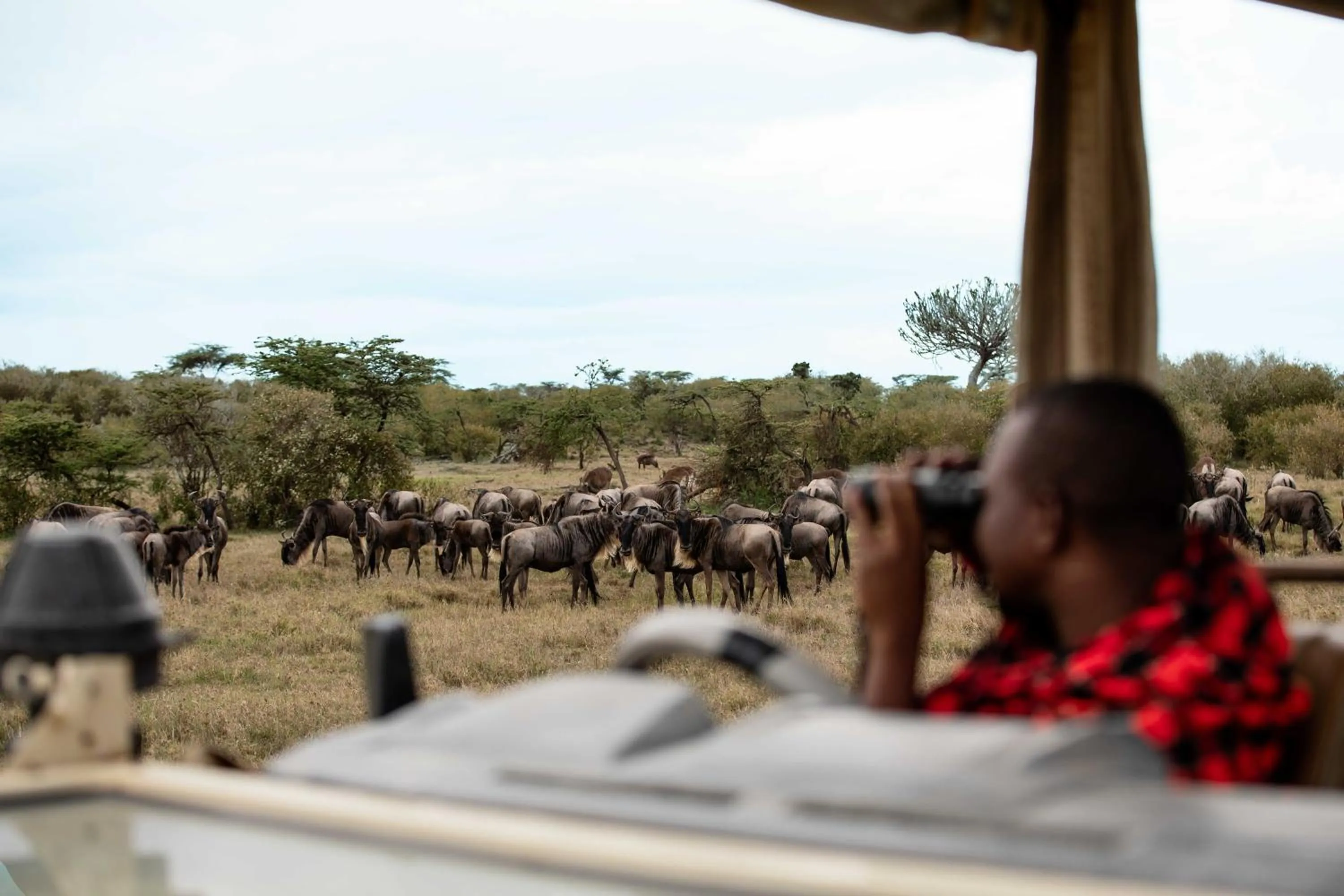 Activities in Mahali Mzuri