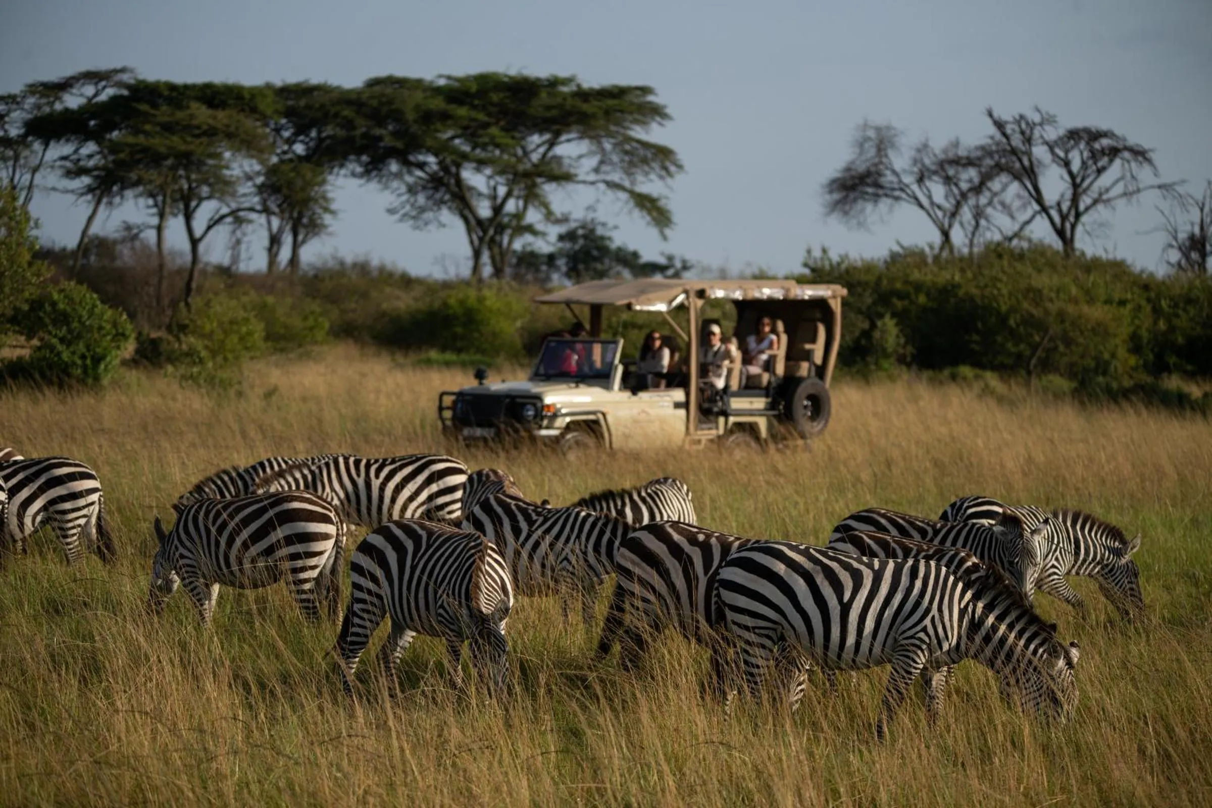 Activities in Mahali Mzuri
