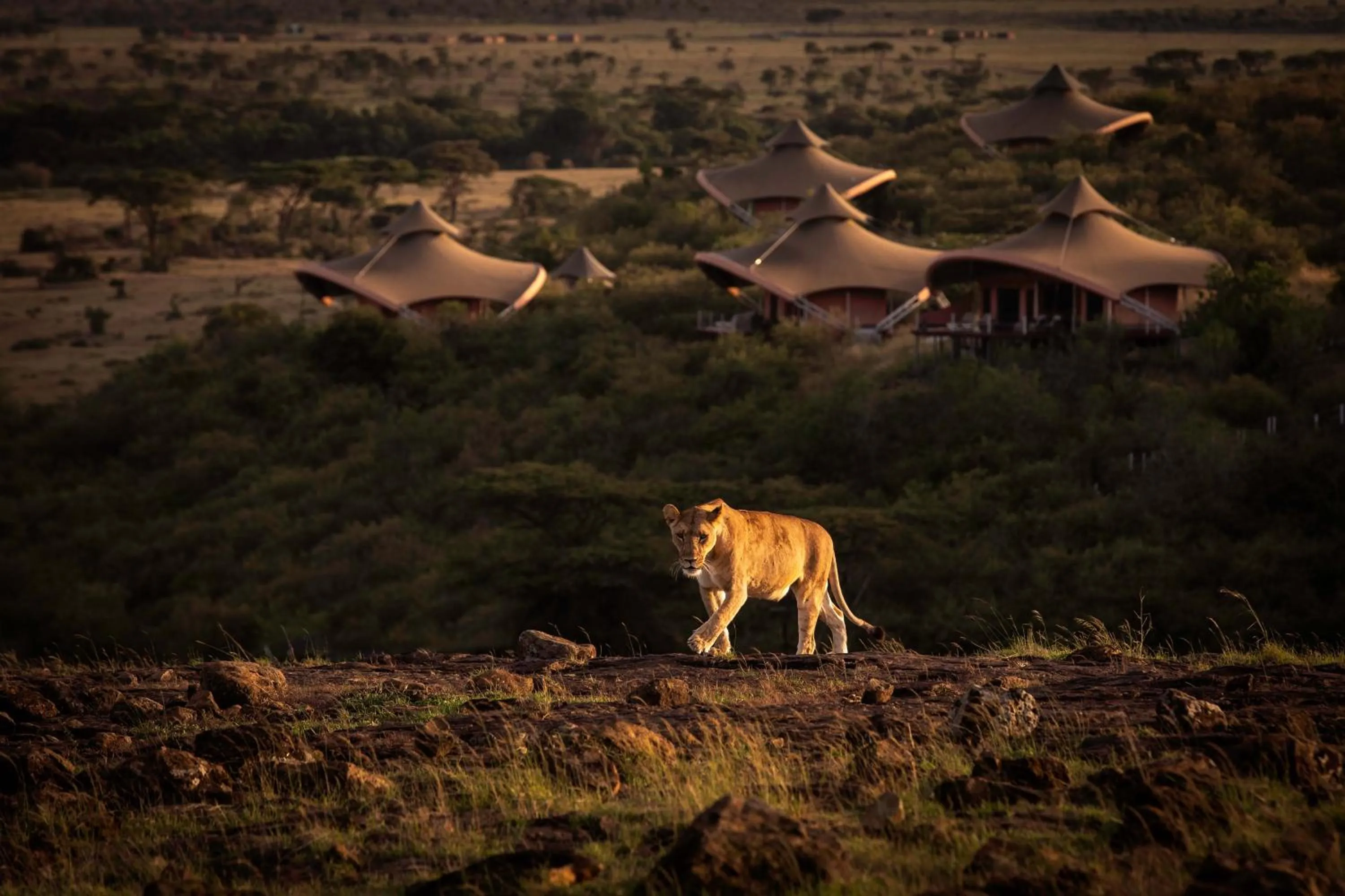 Property building in Mahali Mzuri
