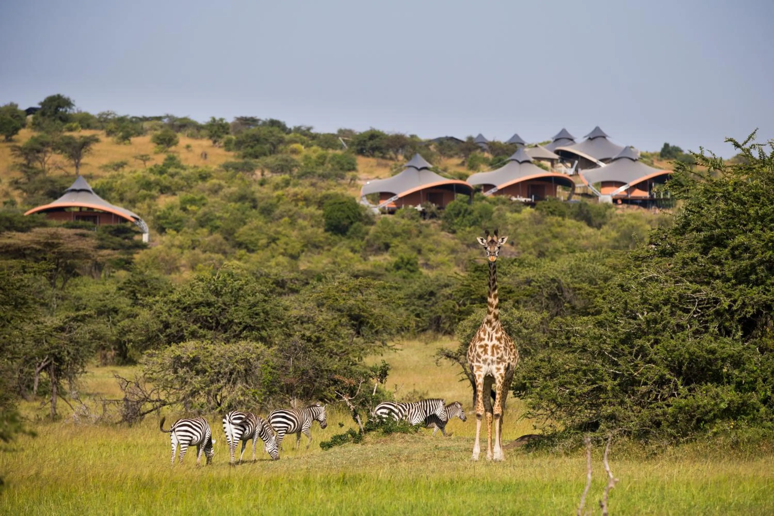Property building in Mahali Mzuri
