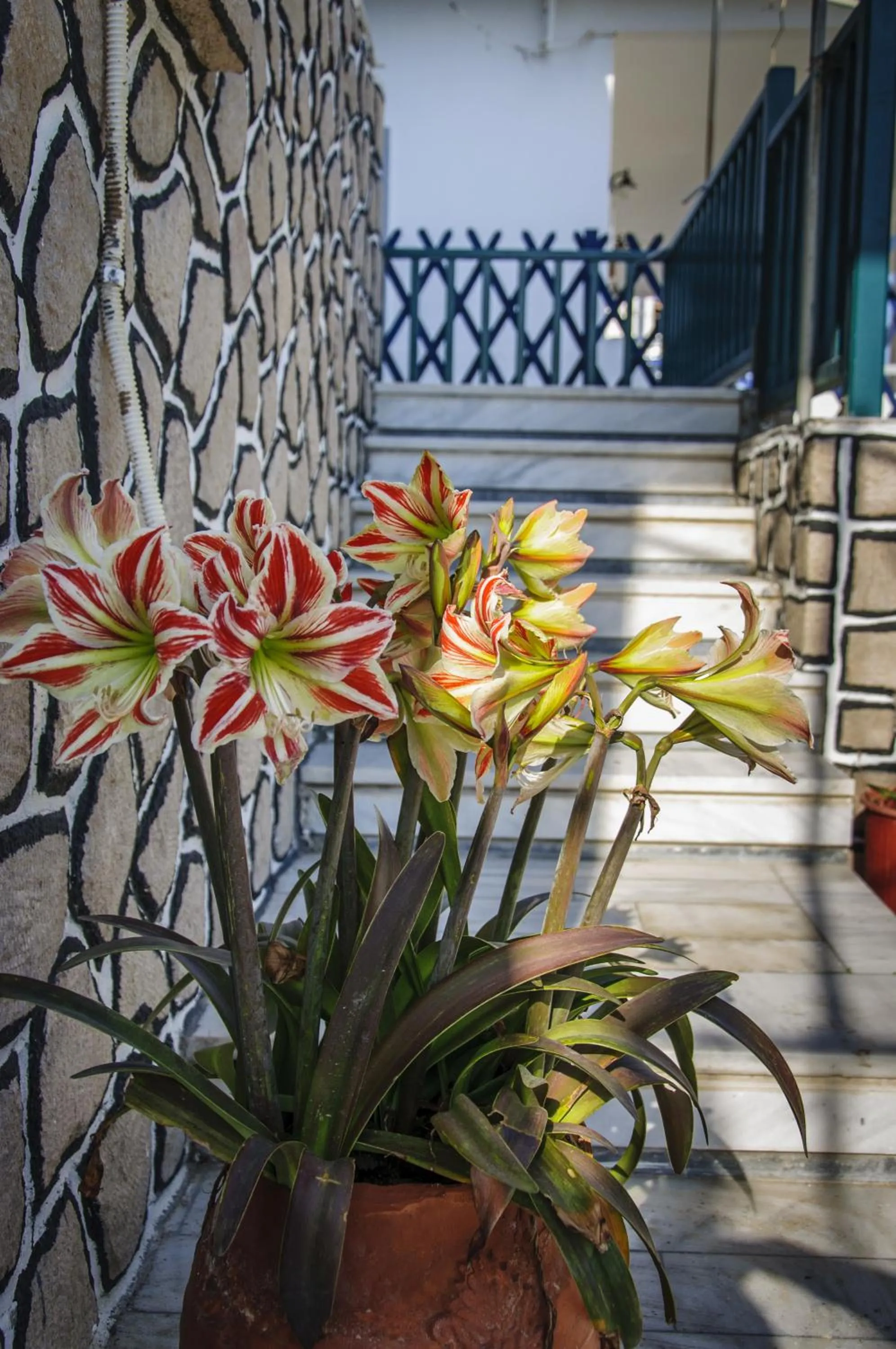 Decorative detail in Christina Rooms