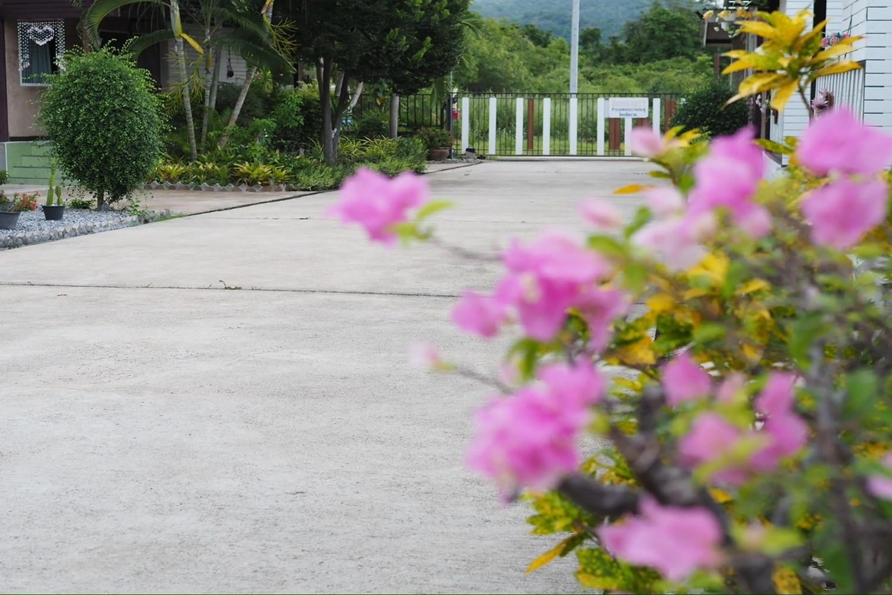 Garden in Ton Hom Pool Party