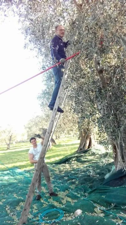 Activities in Azienda Agricola B&B Macchiaria