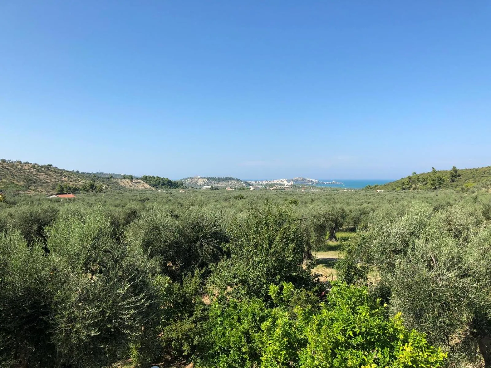 View (from property/room) in Azienda Agricola B&B Macchiaria