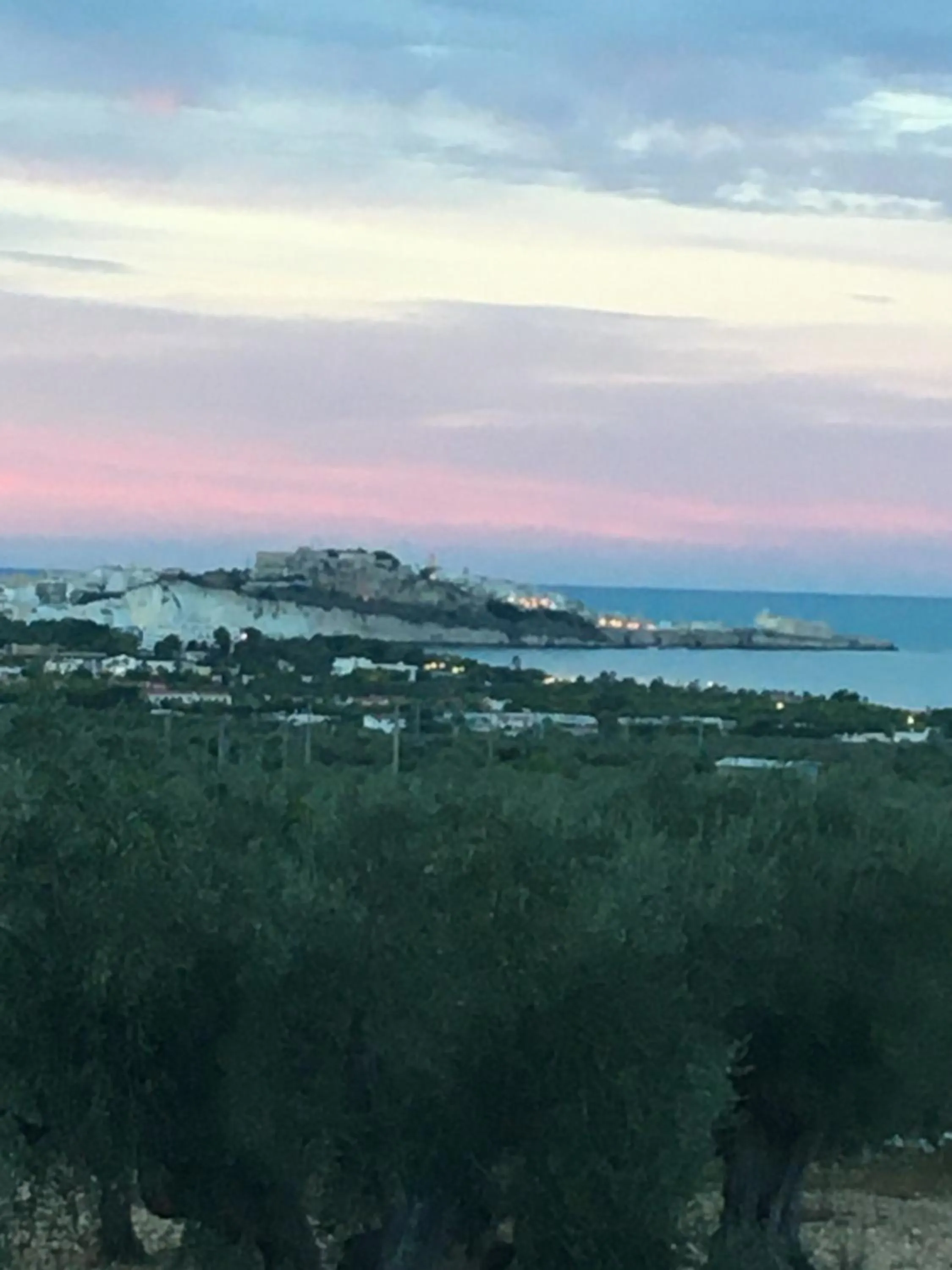 Azienda Agricola B&B Macchiaria