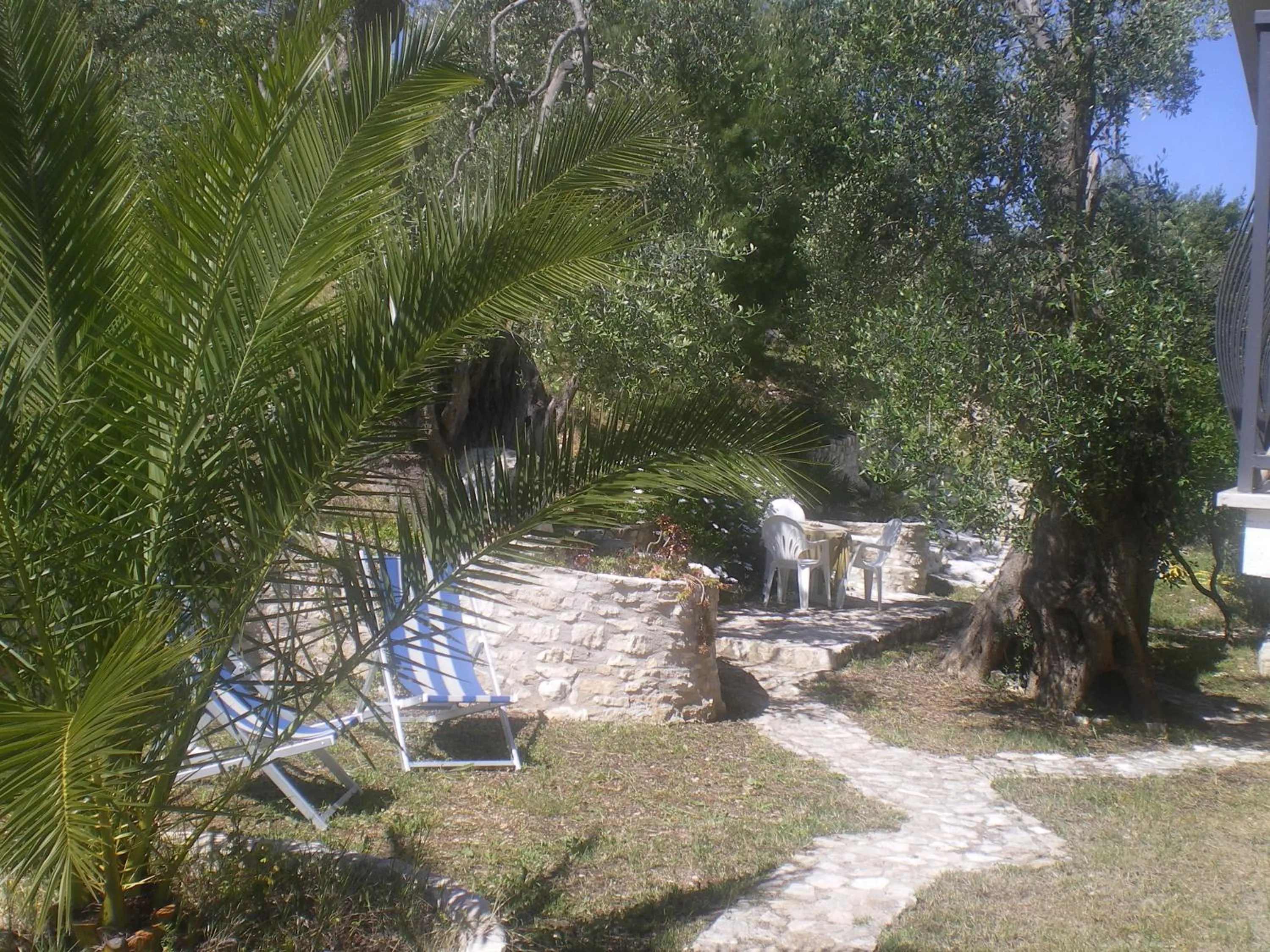 Garden in Azienda Agricola B&B Macchiaria