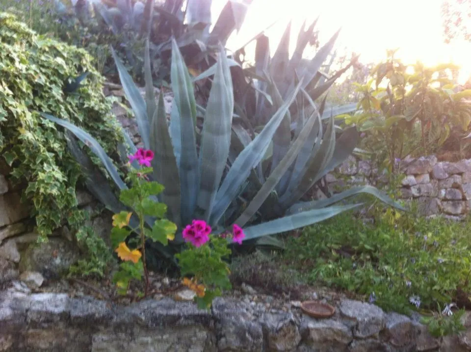Garden in Azienda Agricola B&B Macchiaria