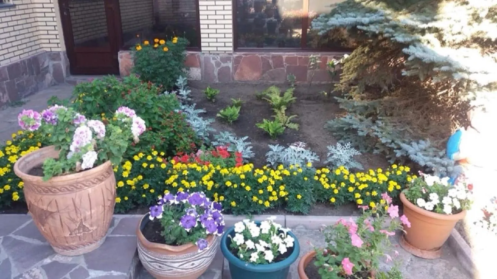 Garden in Hotel Miss Mari