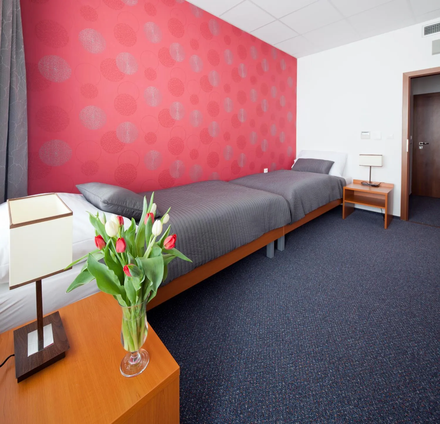 Bed in Hotel Limba CTT