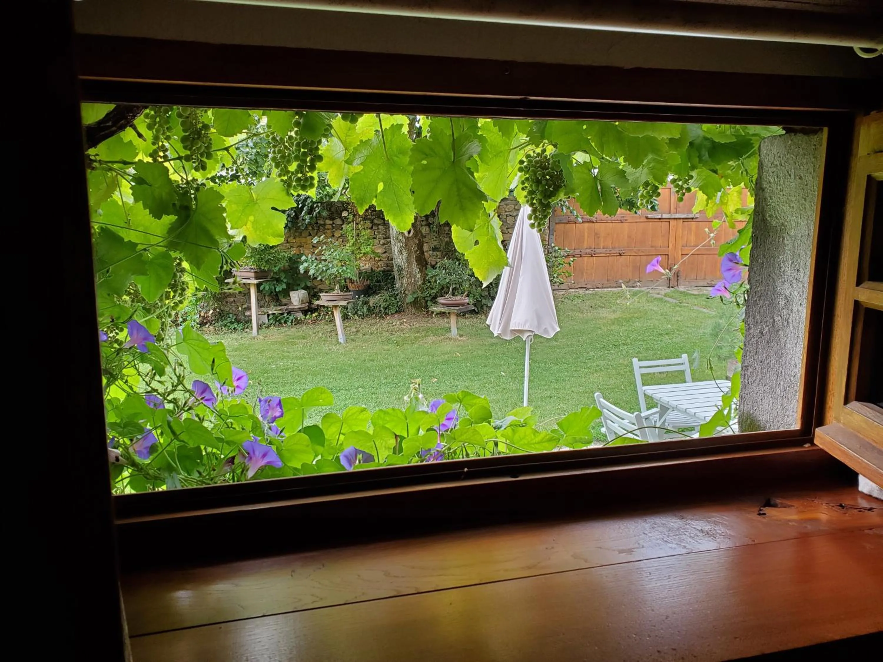 Garden view in Domaine des Maillets