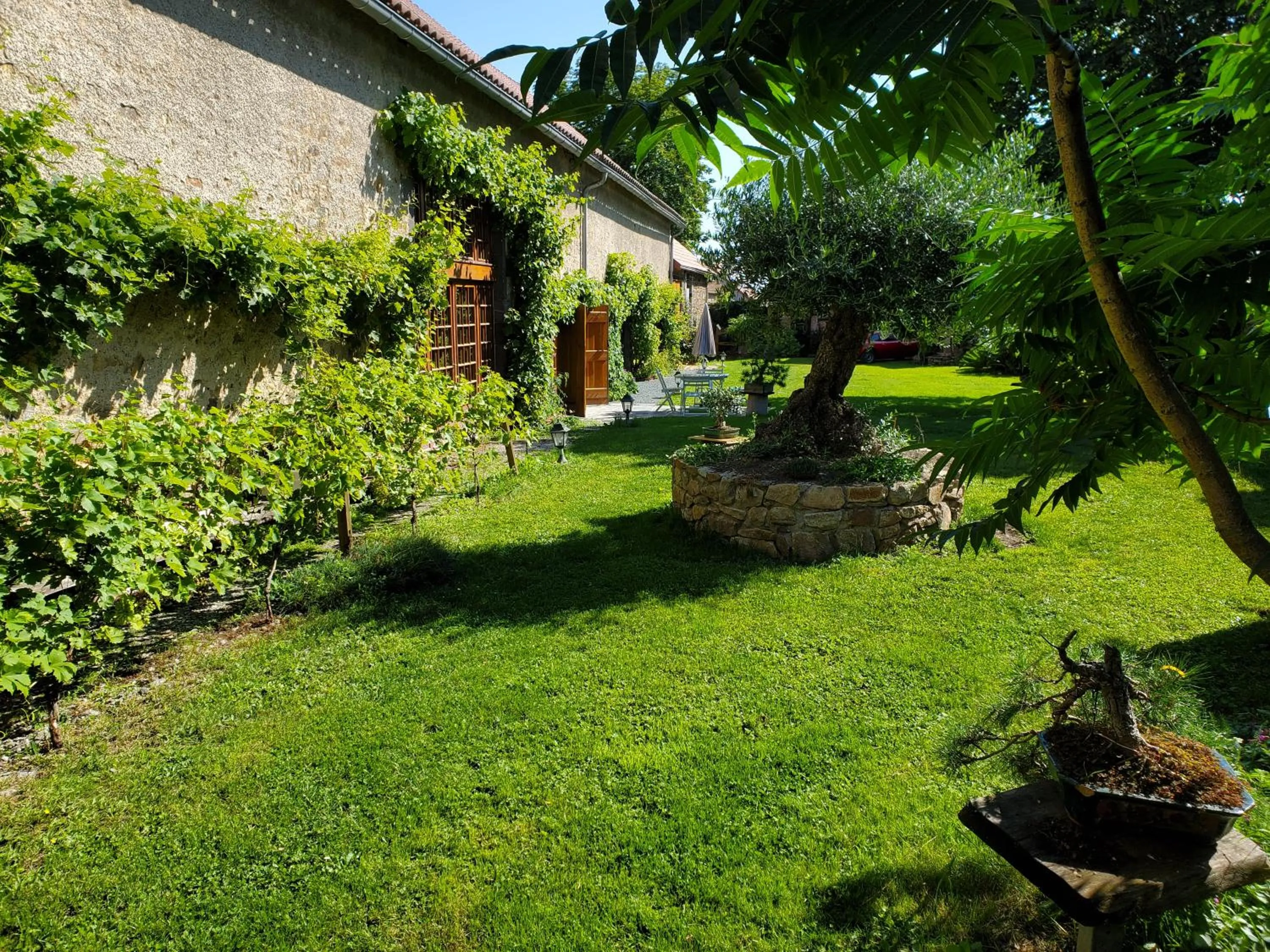 Garden in Domaine des Maillets