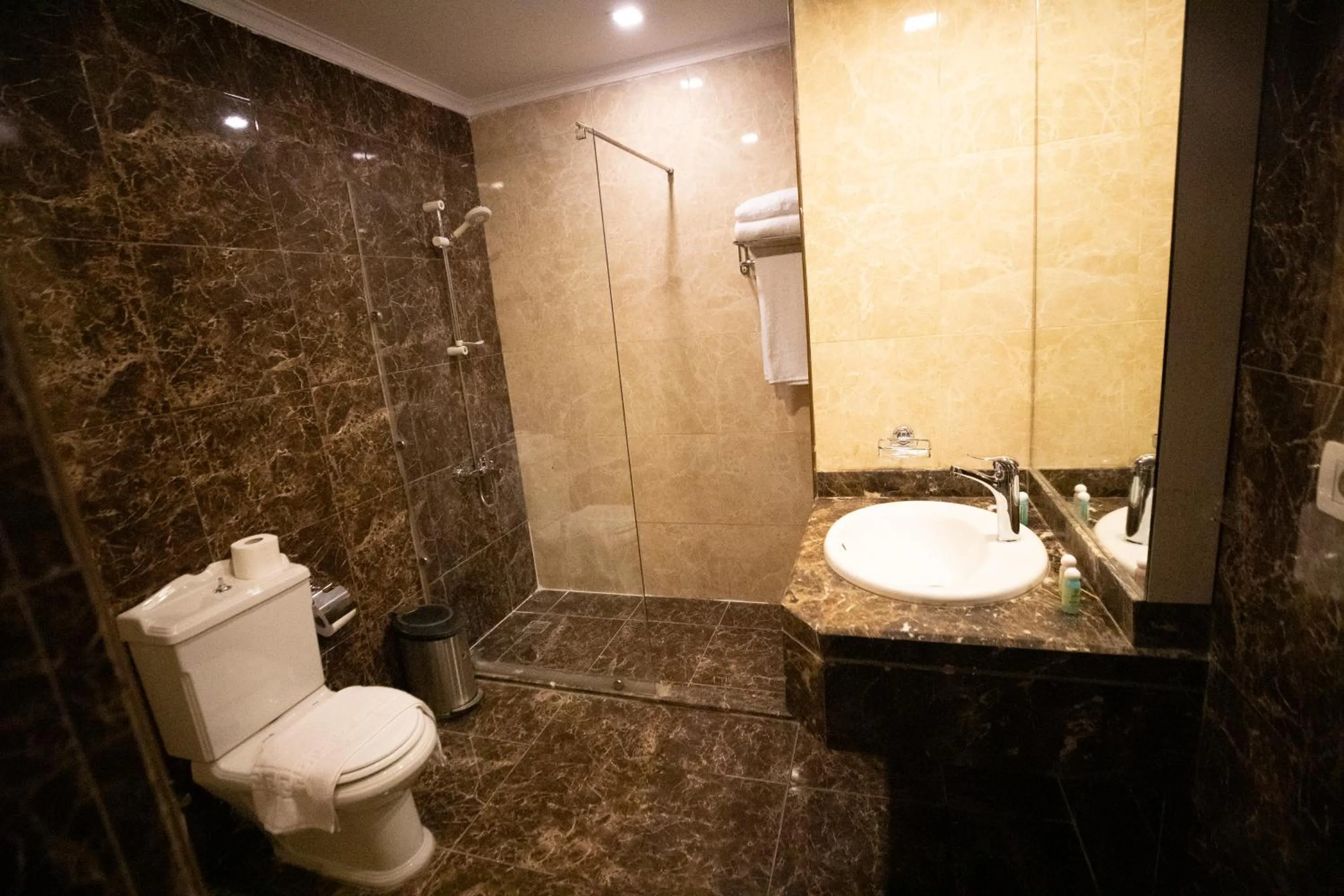 Bathroom in Oriental grand Plaza