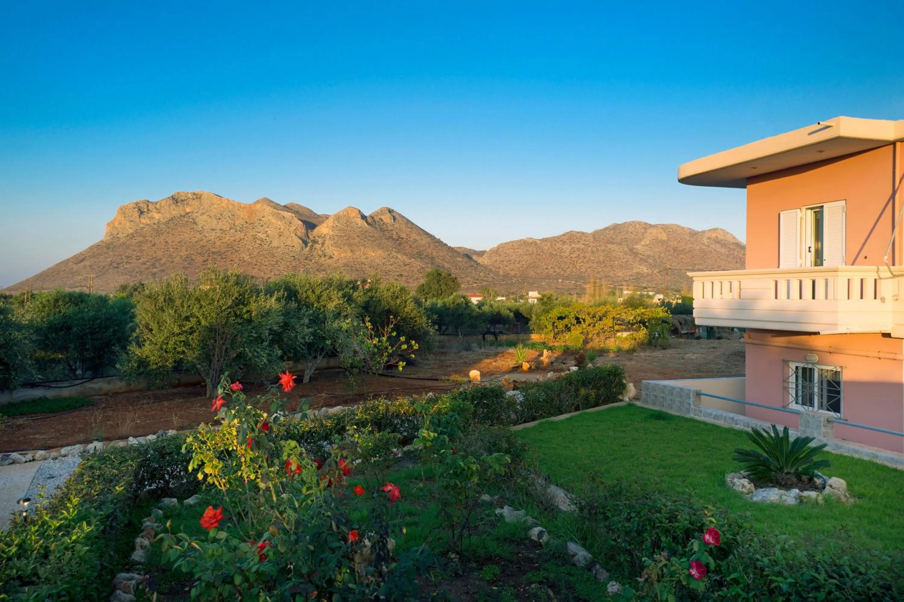 Garden in Skamagkas M. Apartments