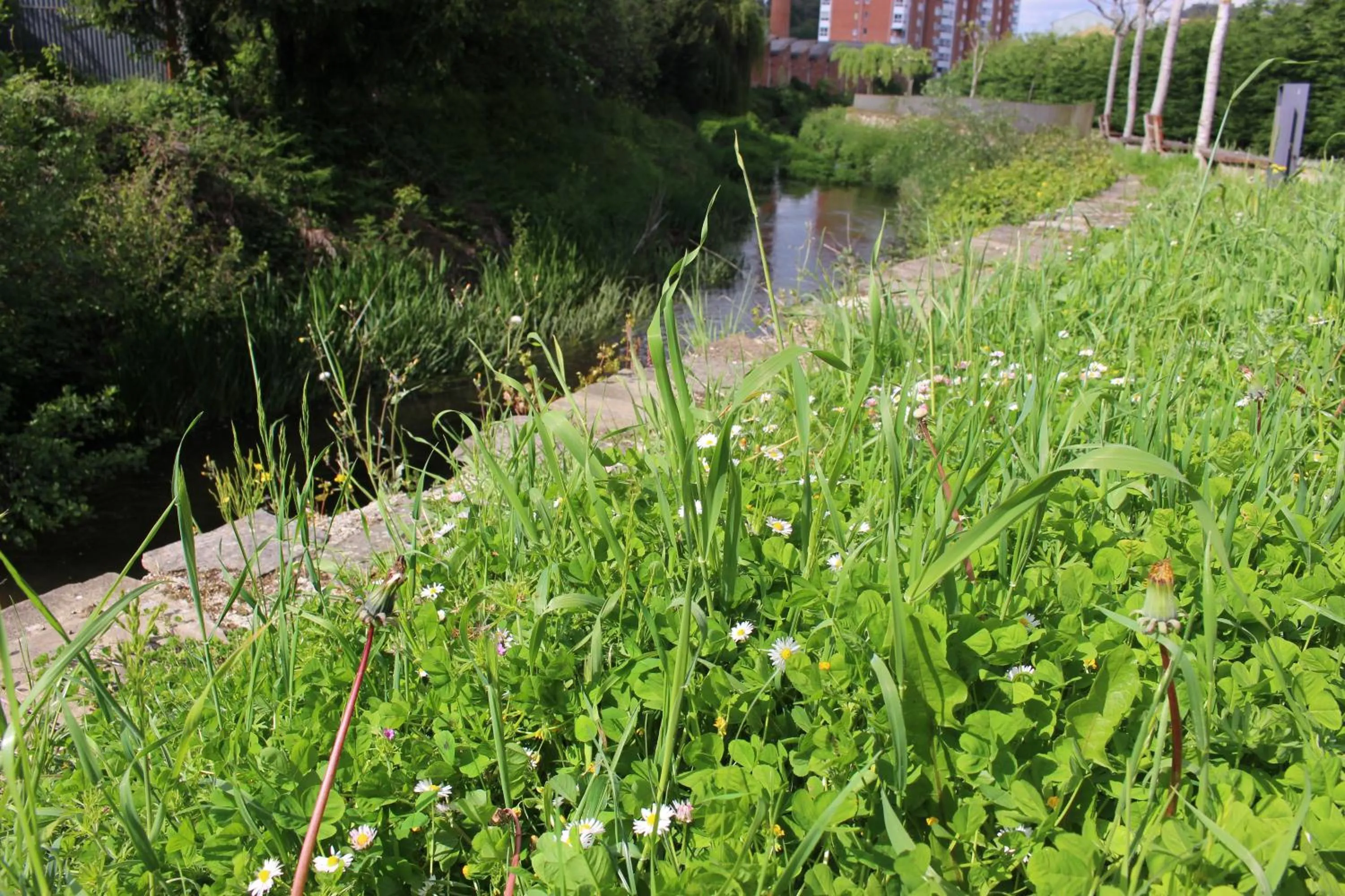 Natural landscape in La Casona de Sarria