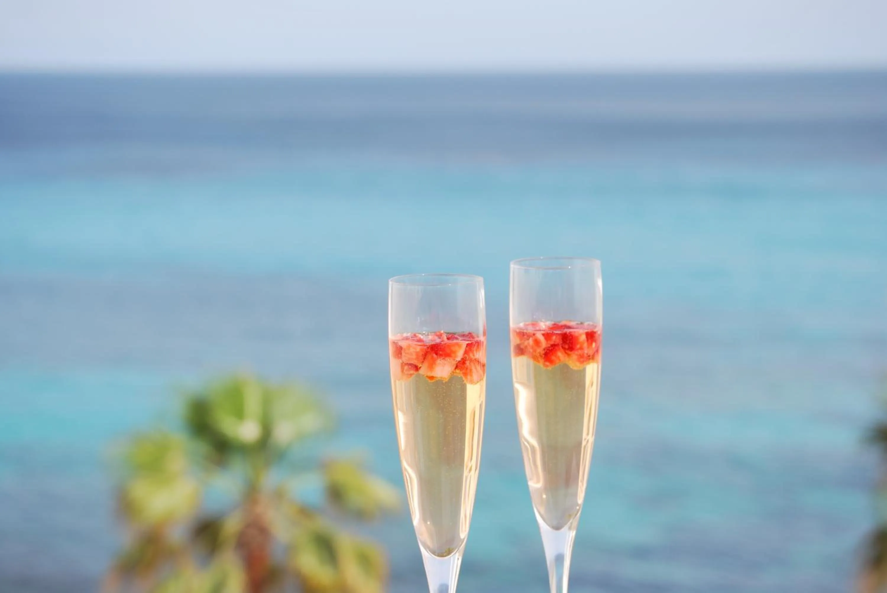 Alcoholic drinks in Apartamentos Alborada