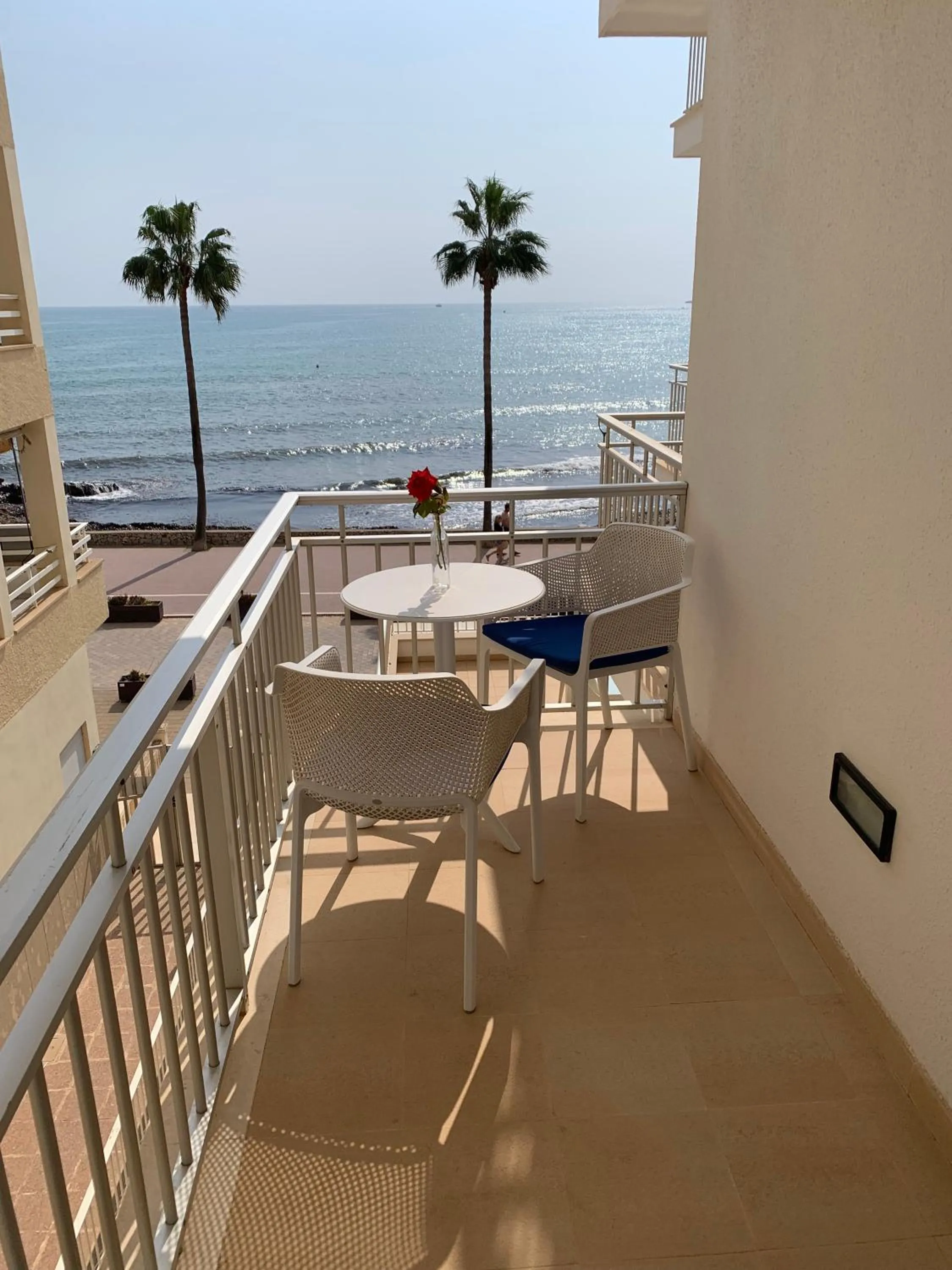 Balcony/Terrace in Apartamentos Alborada