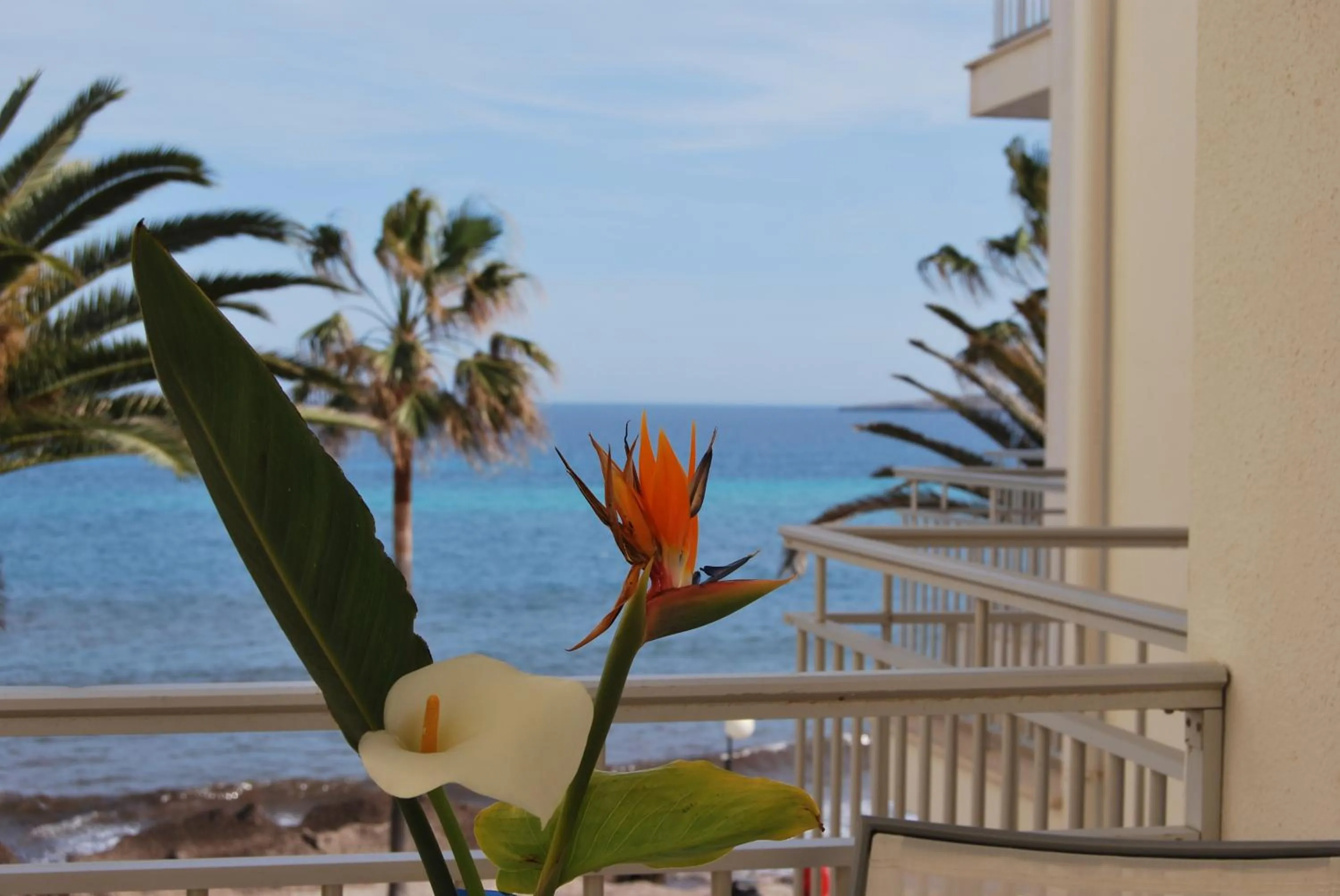 Day in Apartamentos Alborada